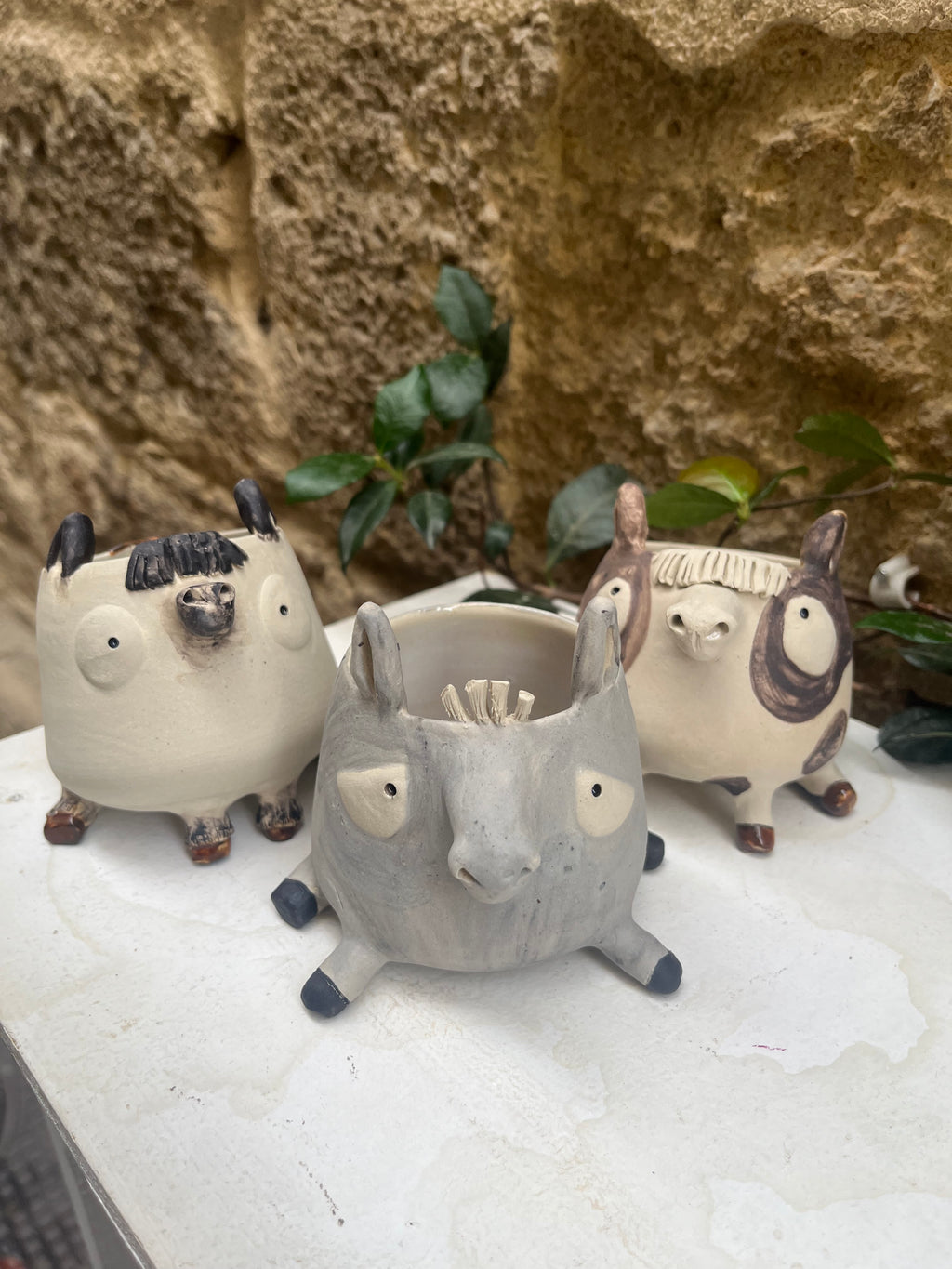 Les mimis chevaux 🐴