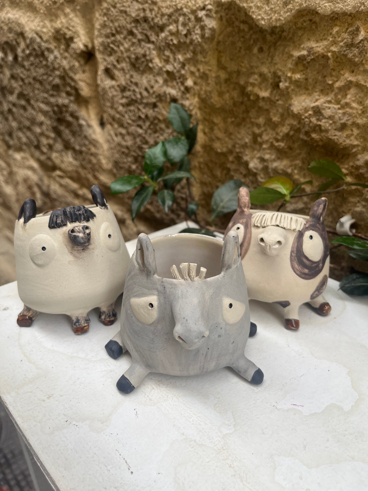 Les mimis chevaux 🐴