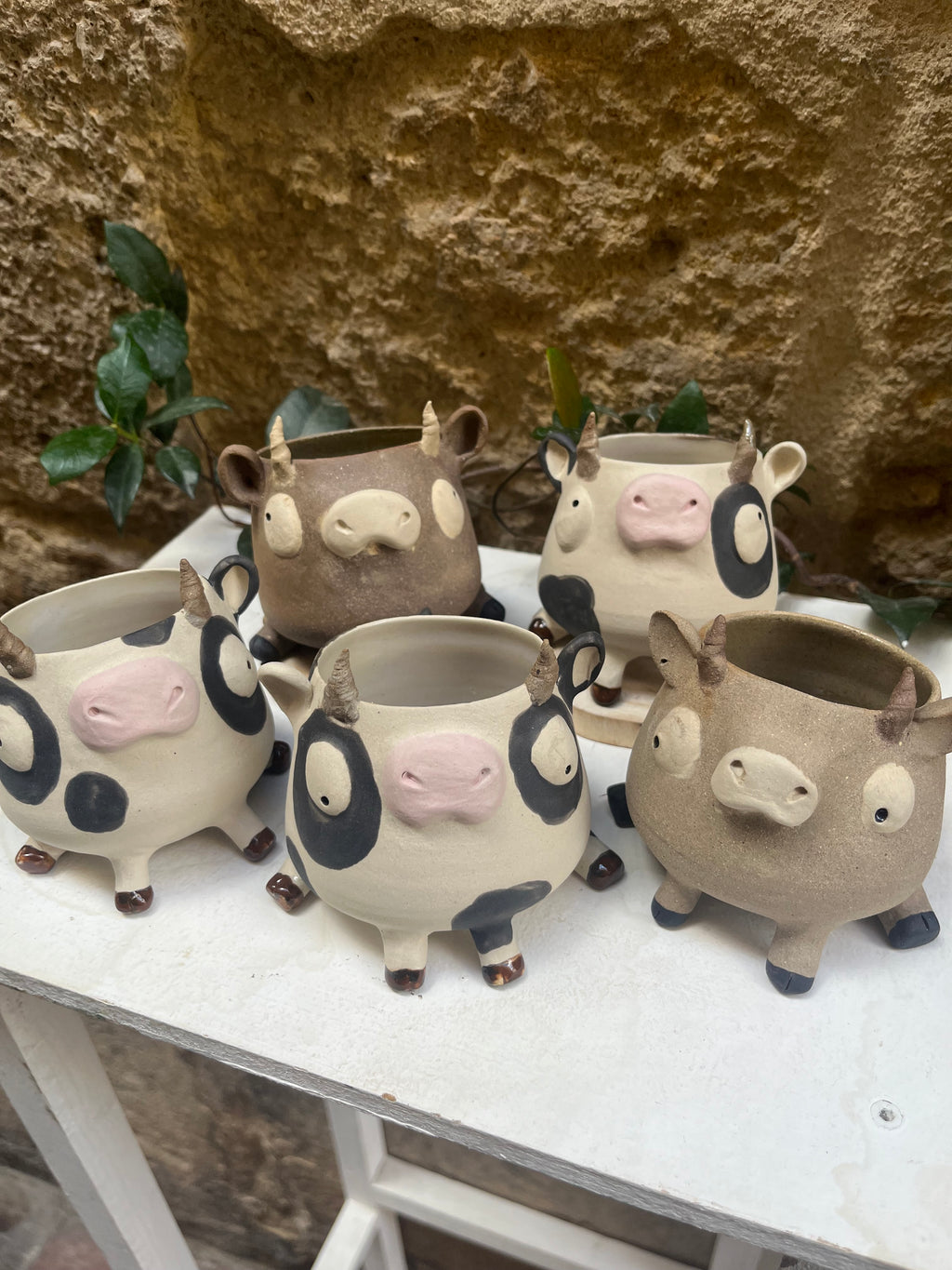 Les mimi vachettes 🐄