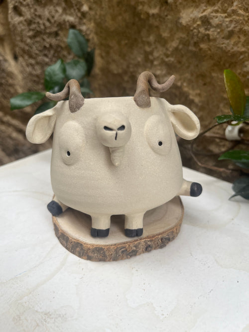 Les mimis chèvres 🐐