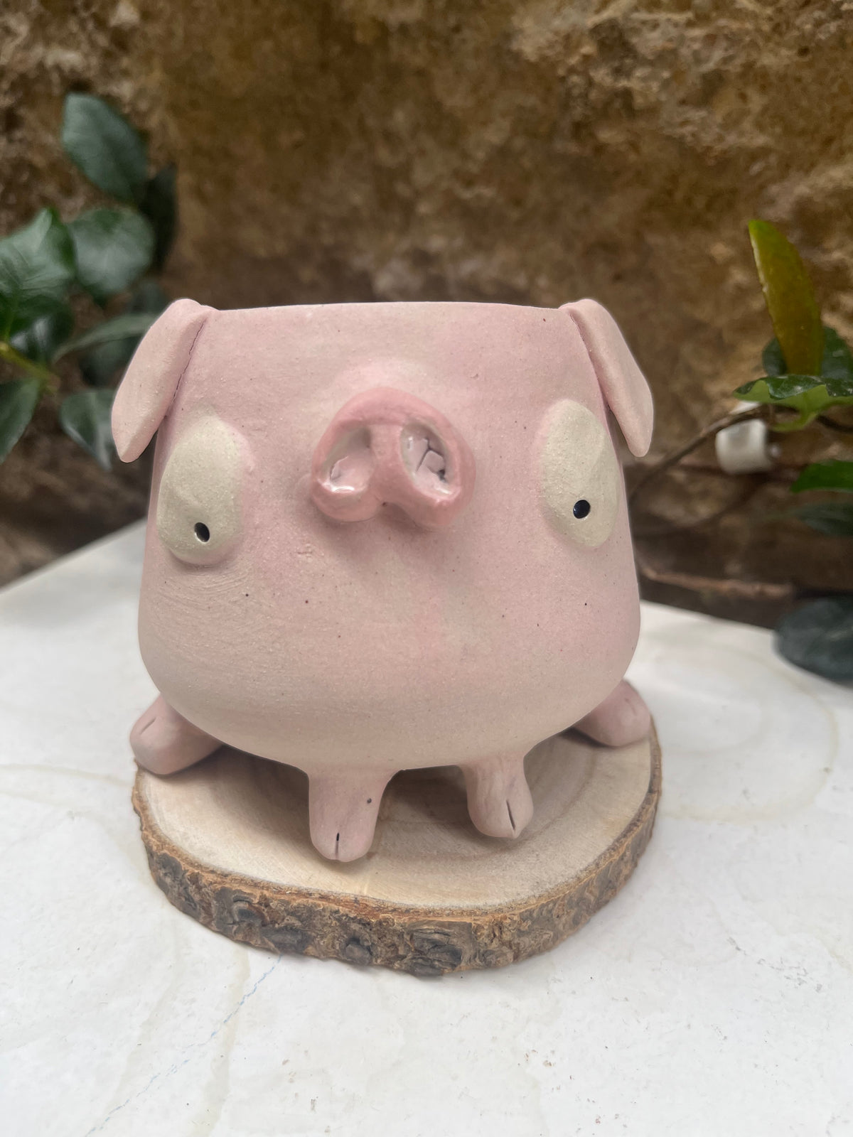 Les mimis cochons 🐷