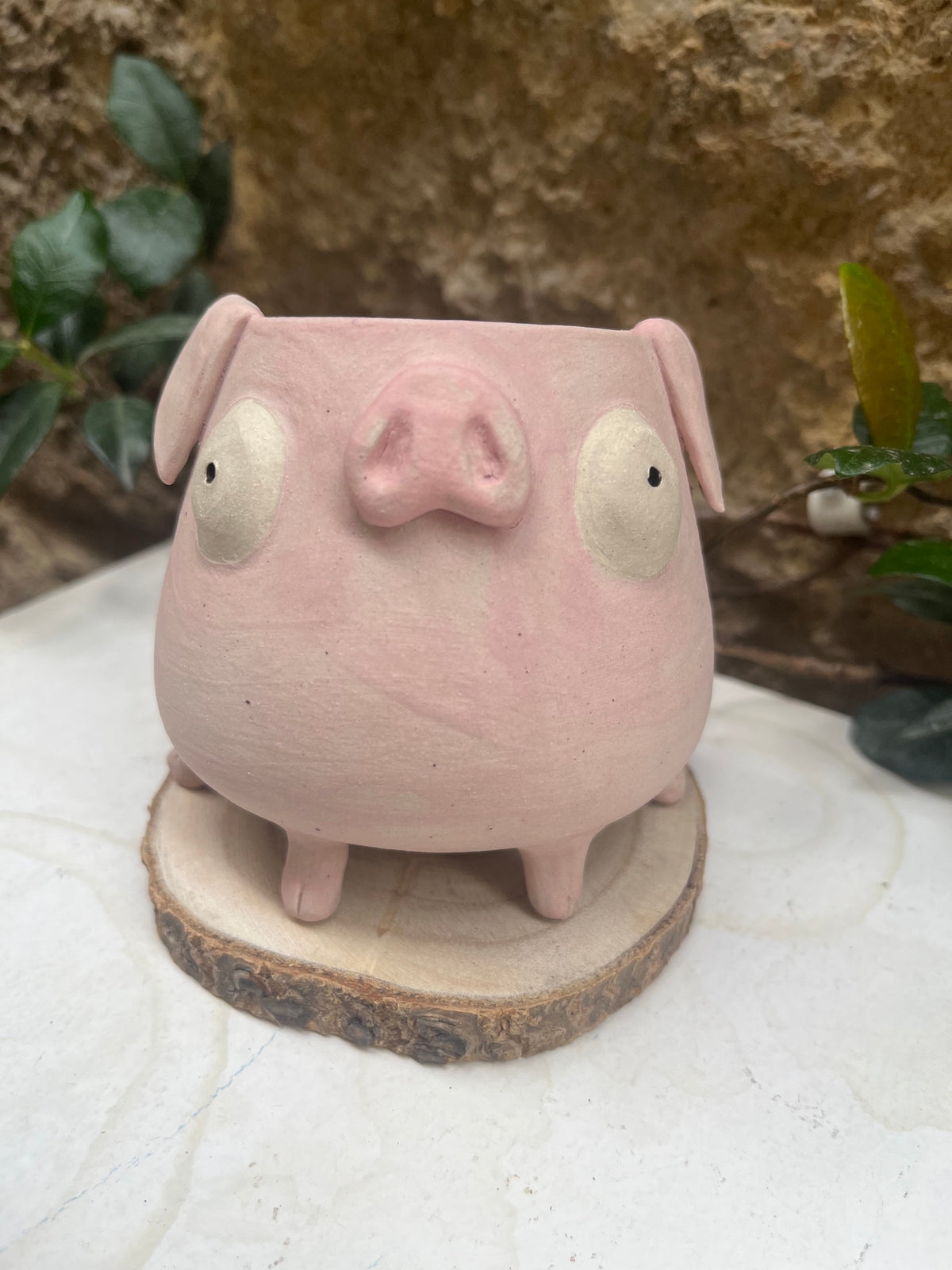 Les mimis cochons 🐷