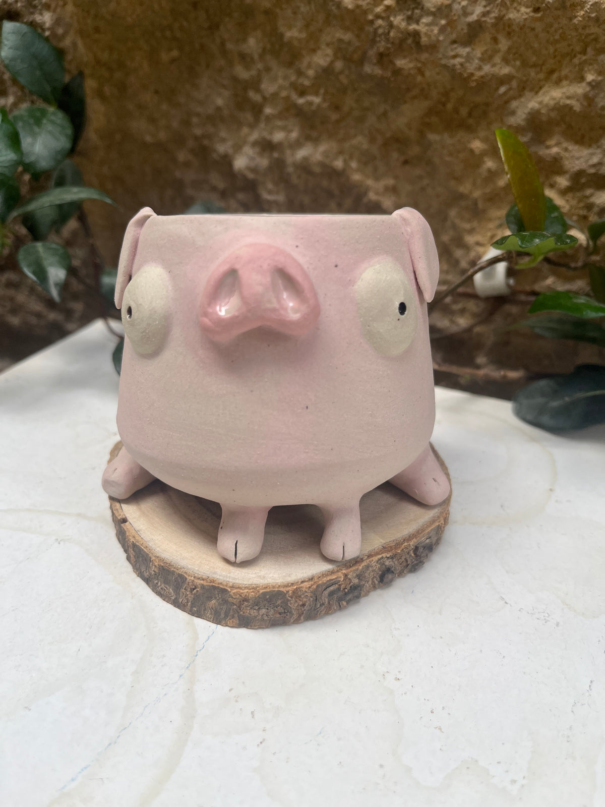 Les mimis cochons 🐷