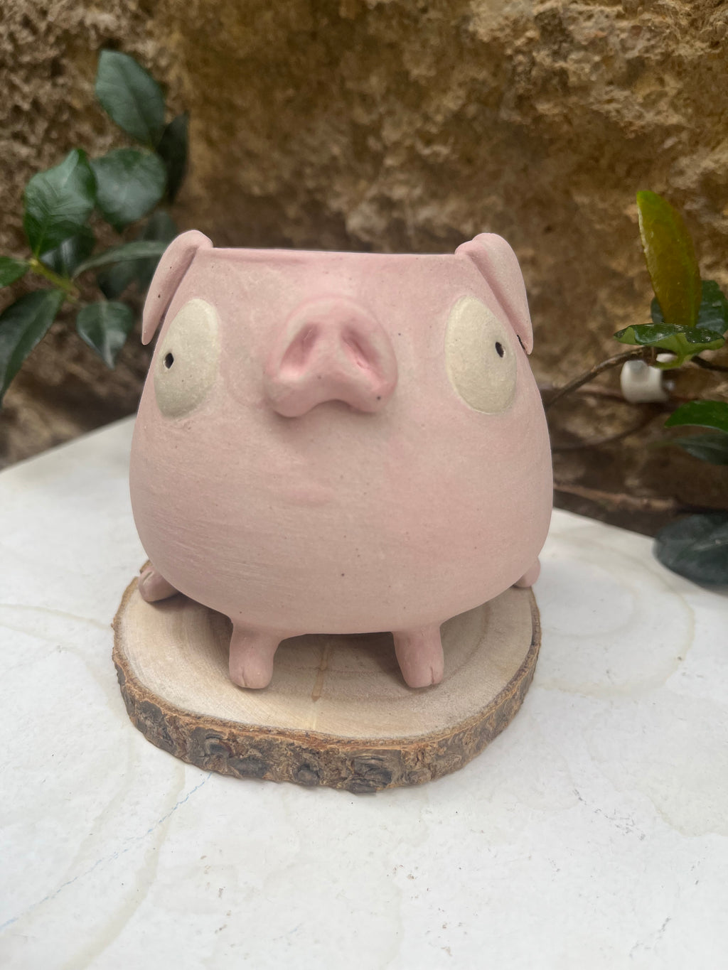 Les mimis cochons 🐷
