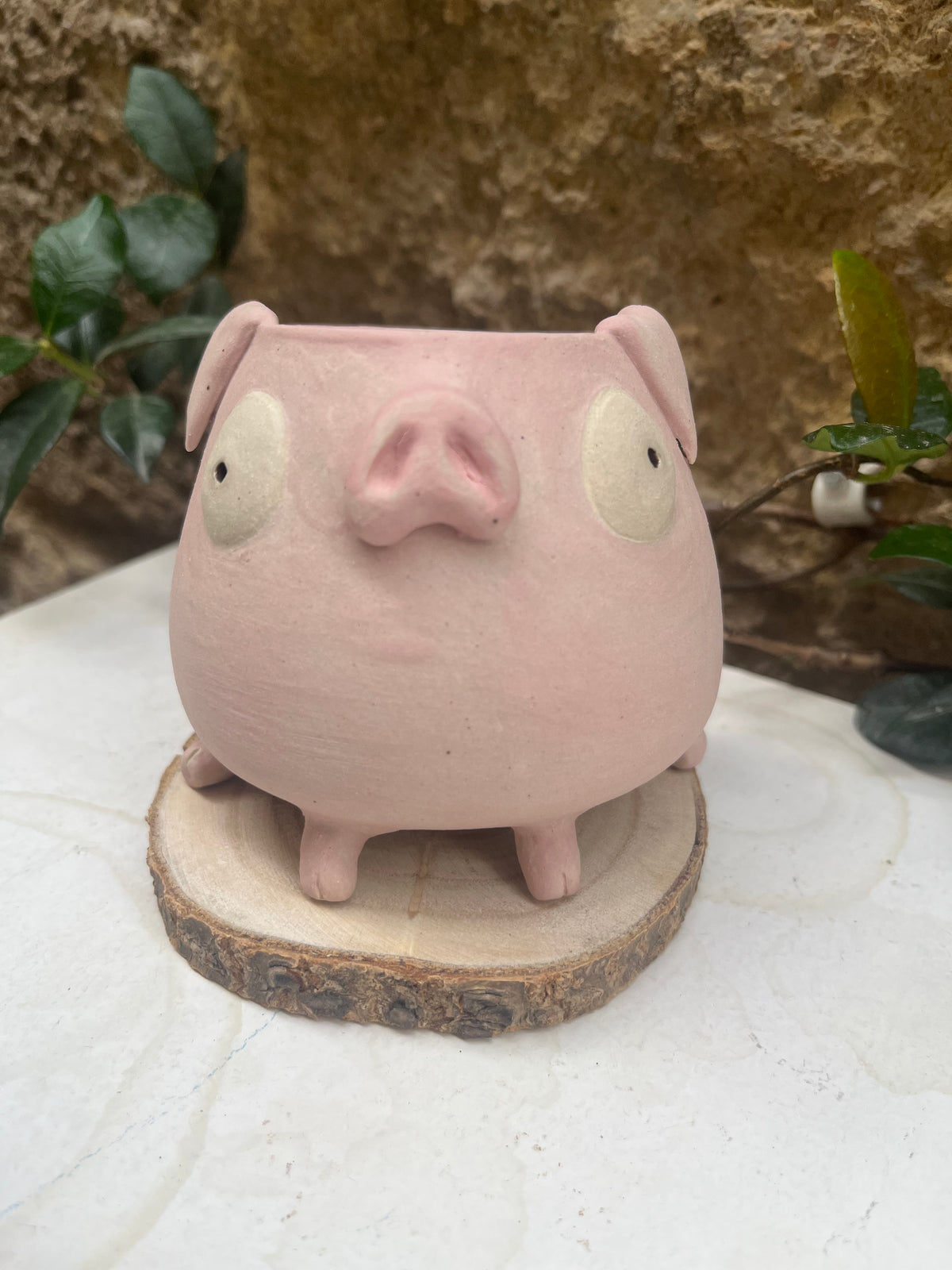 Les mimis cochons 🐷