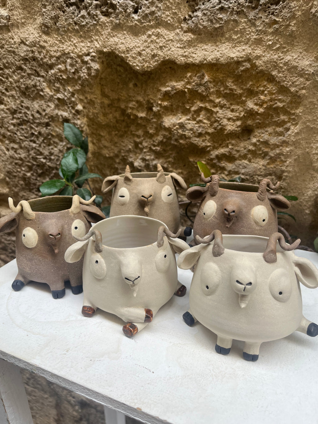 Les mimis chèvres 🐐