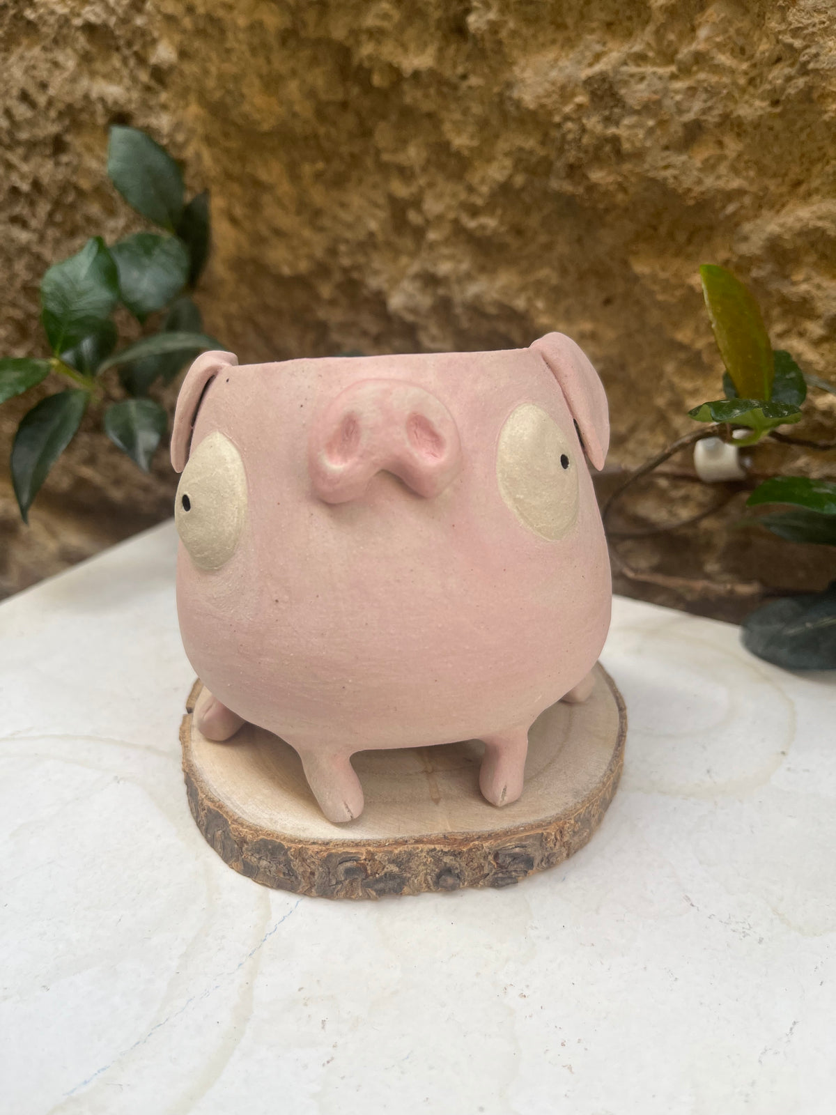 Les mimis cochons 🐷