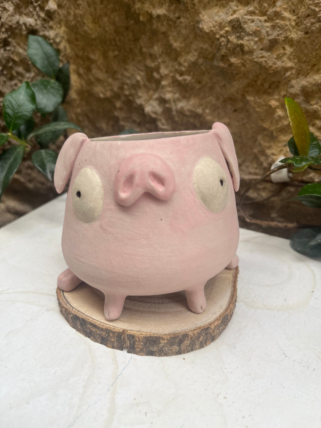 Les mimis cochons 🐷