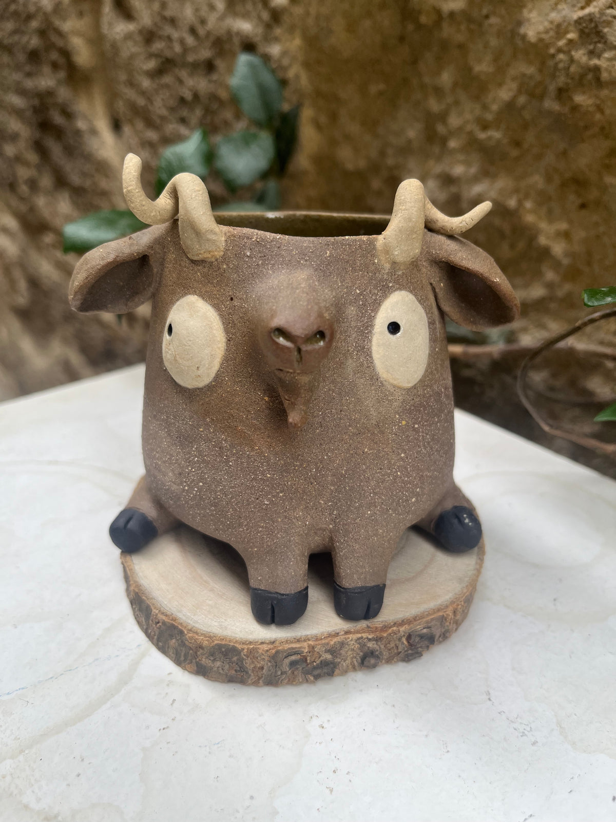 Les mimis chèvres 🐐