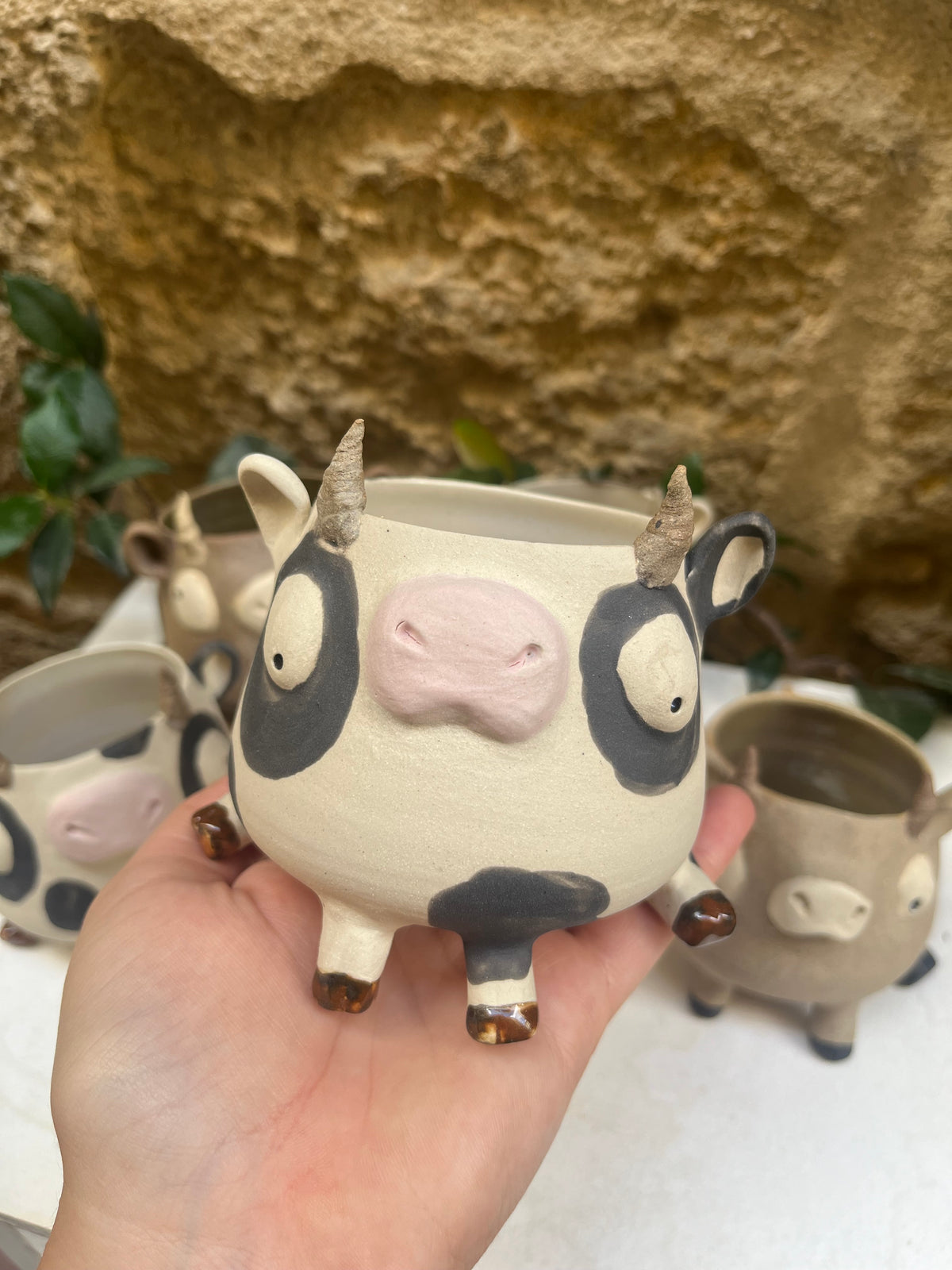 Les mimi vachettes 🐄
