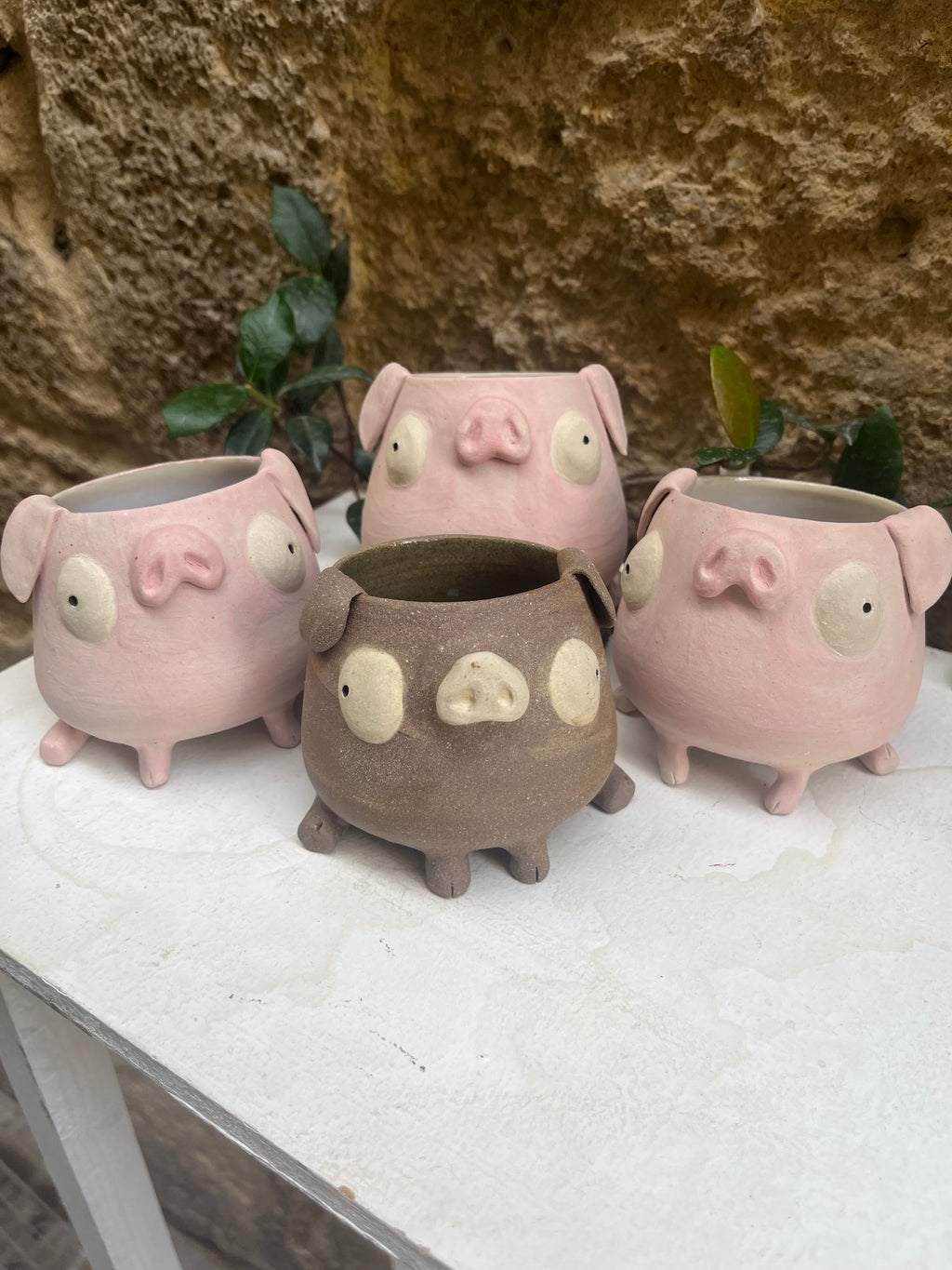 Les mimis cochons 🐷