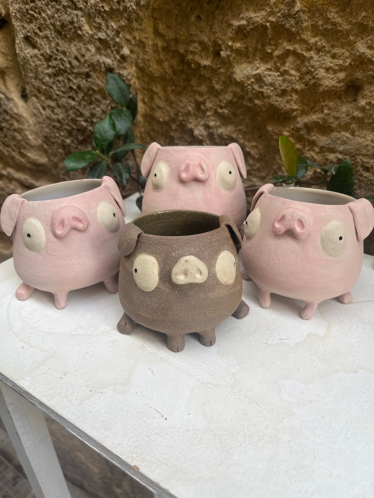 Les mimis cochons 🐷
