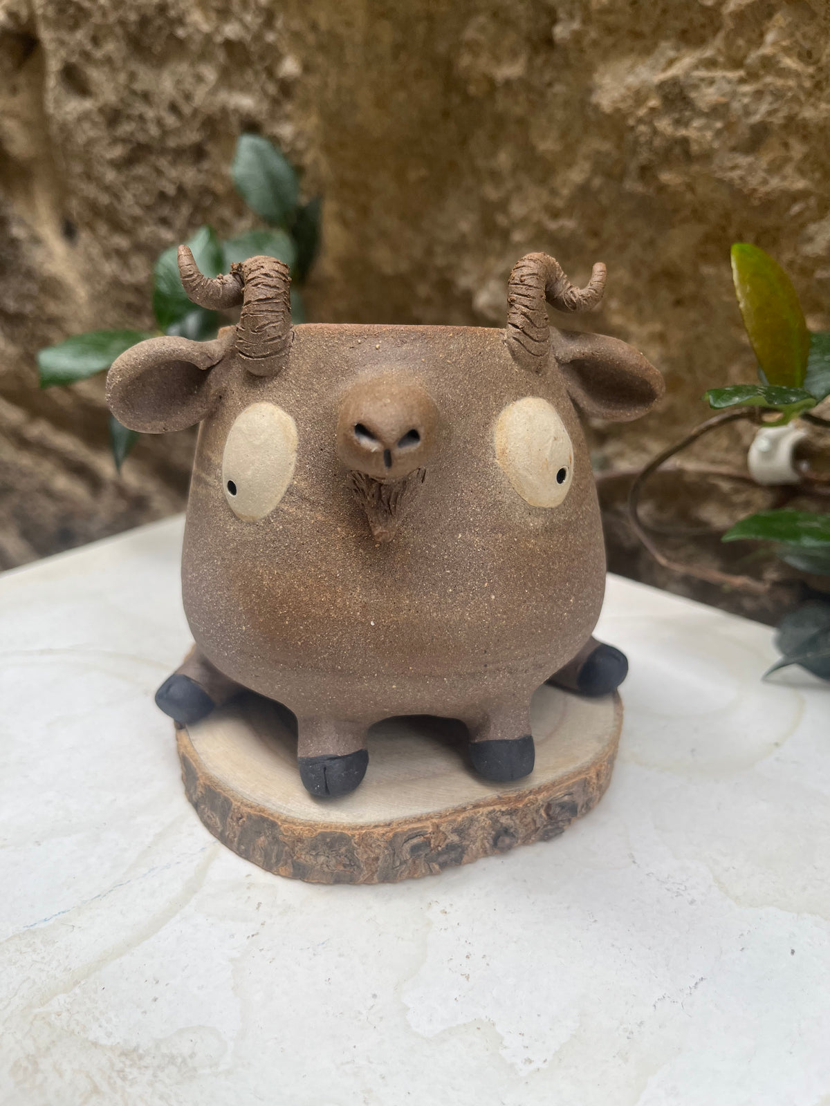 Les mimis chèvres 🐐