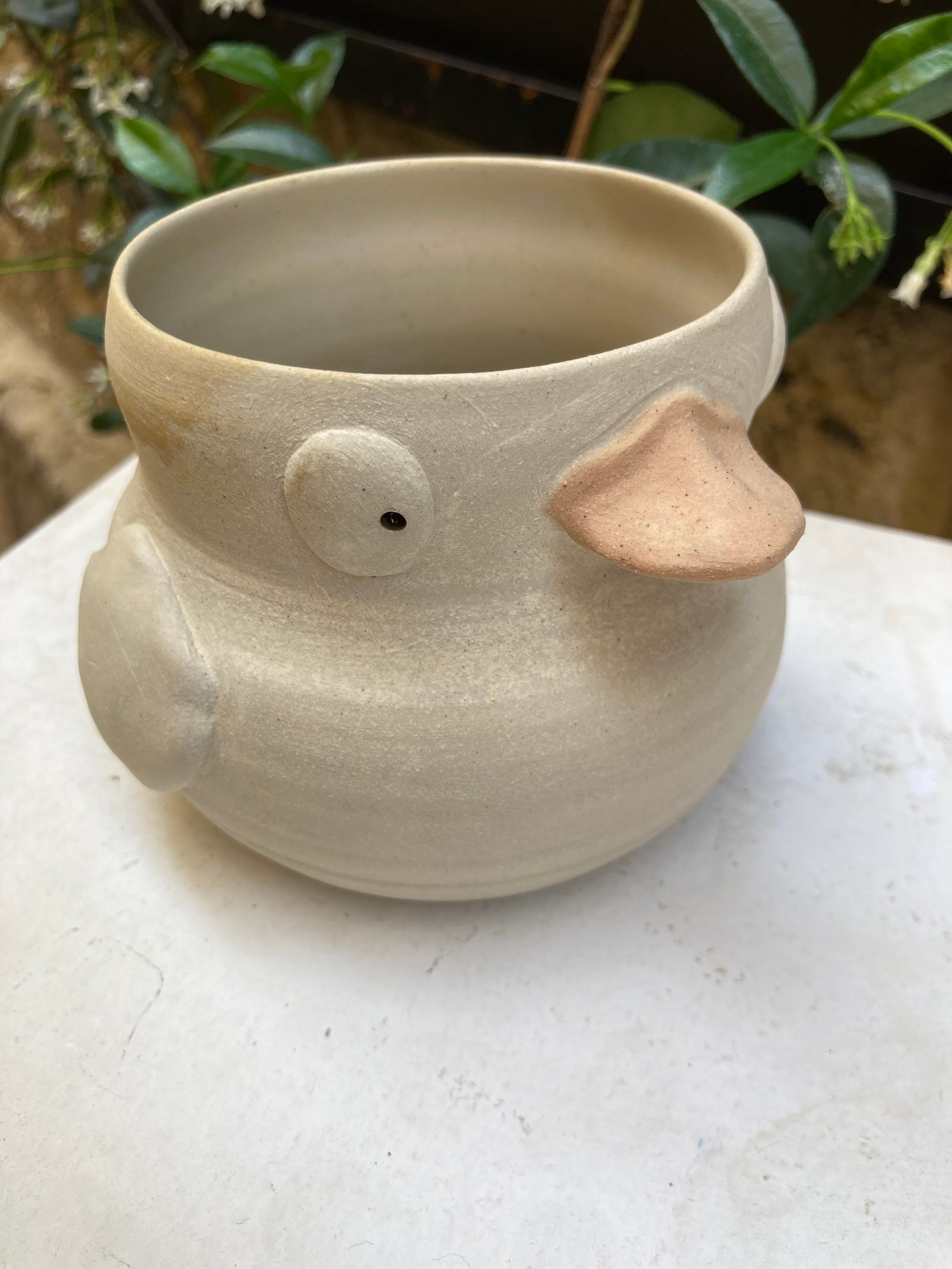 Pot canard 🦆