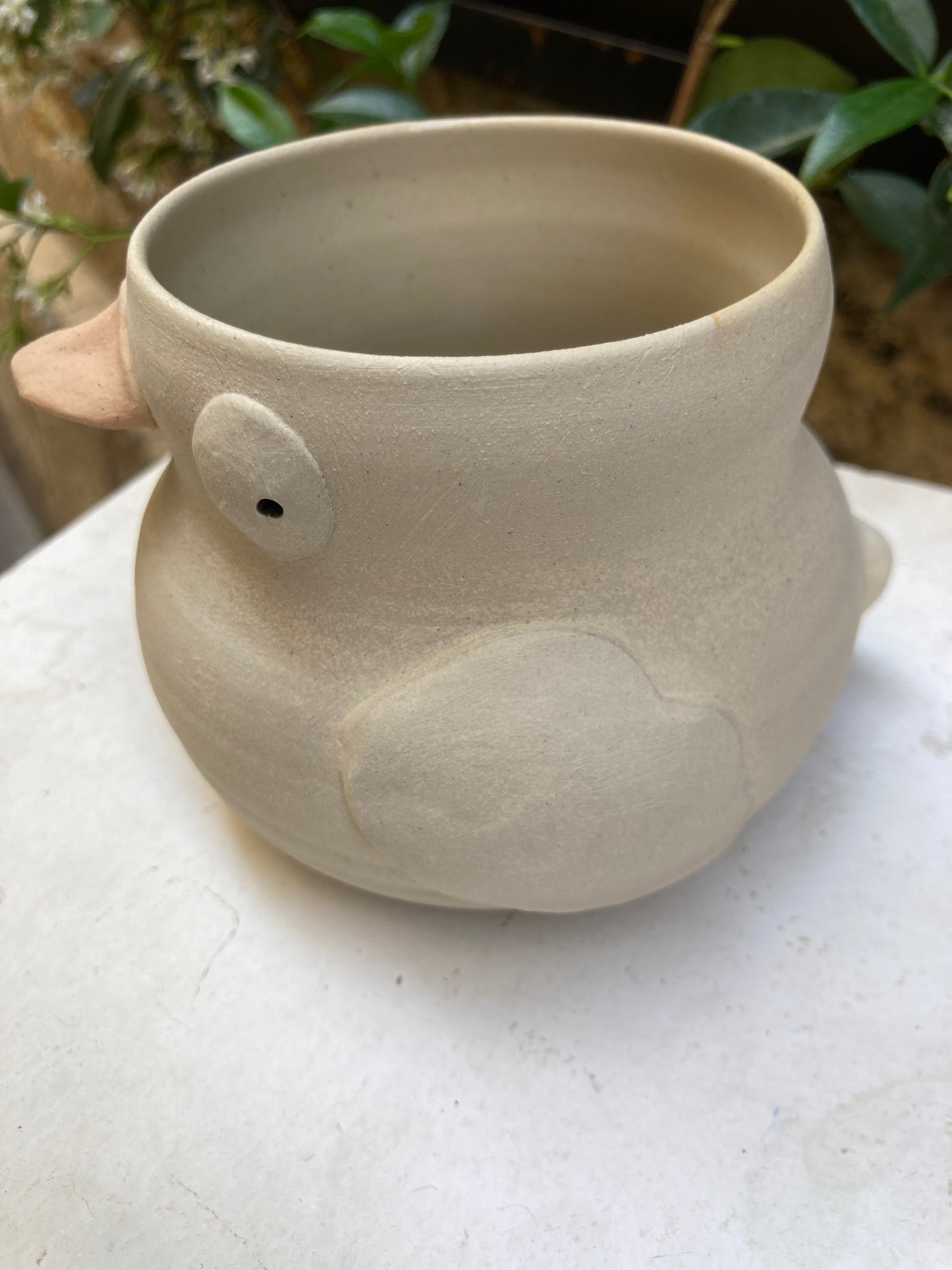 Pot canard 🦆