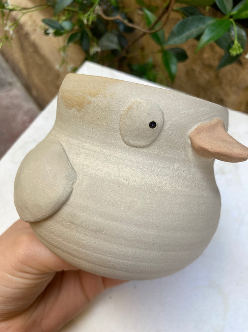 Pot canard 🦆