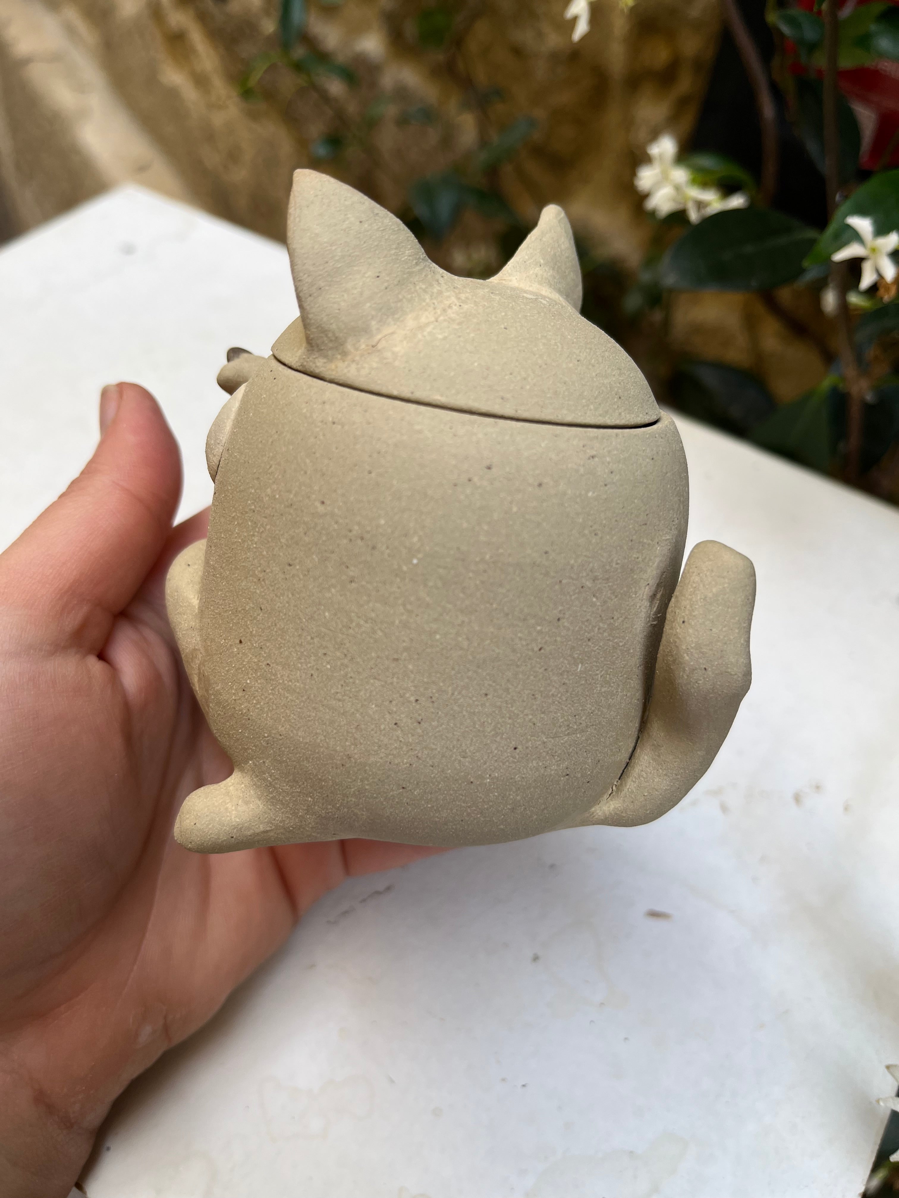 Mini boîte chat 🐱