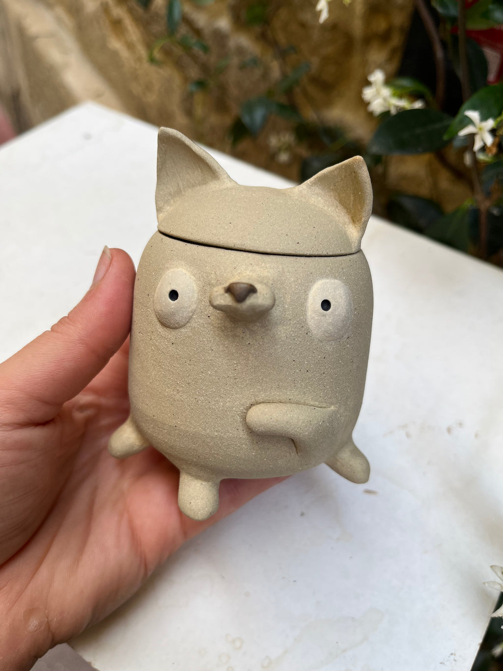 Mini boîte chat 🐱