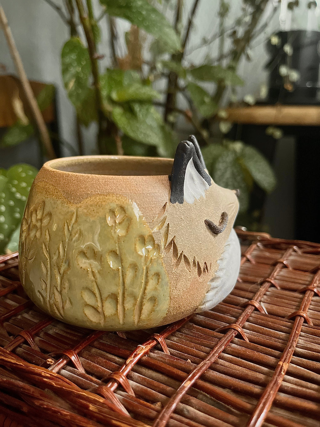 Tasses renard endormi