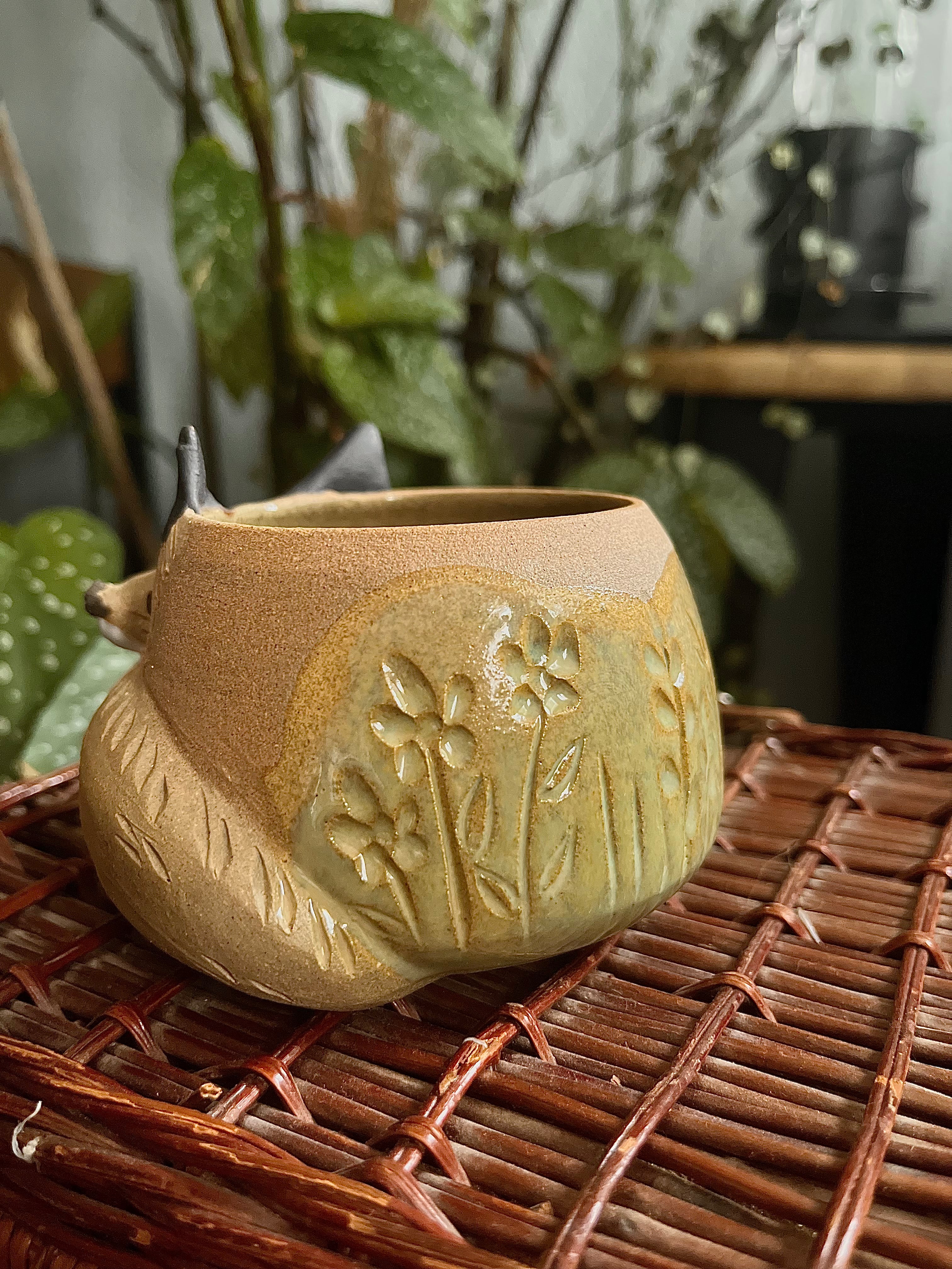 Tasses renard endormi