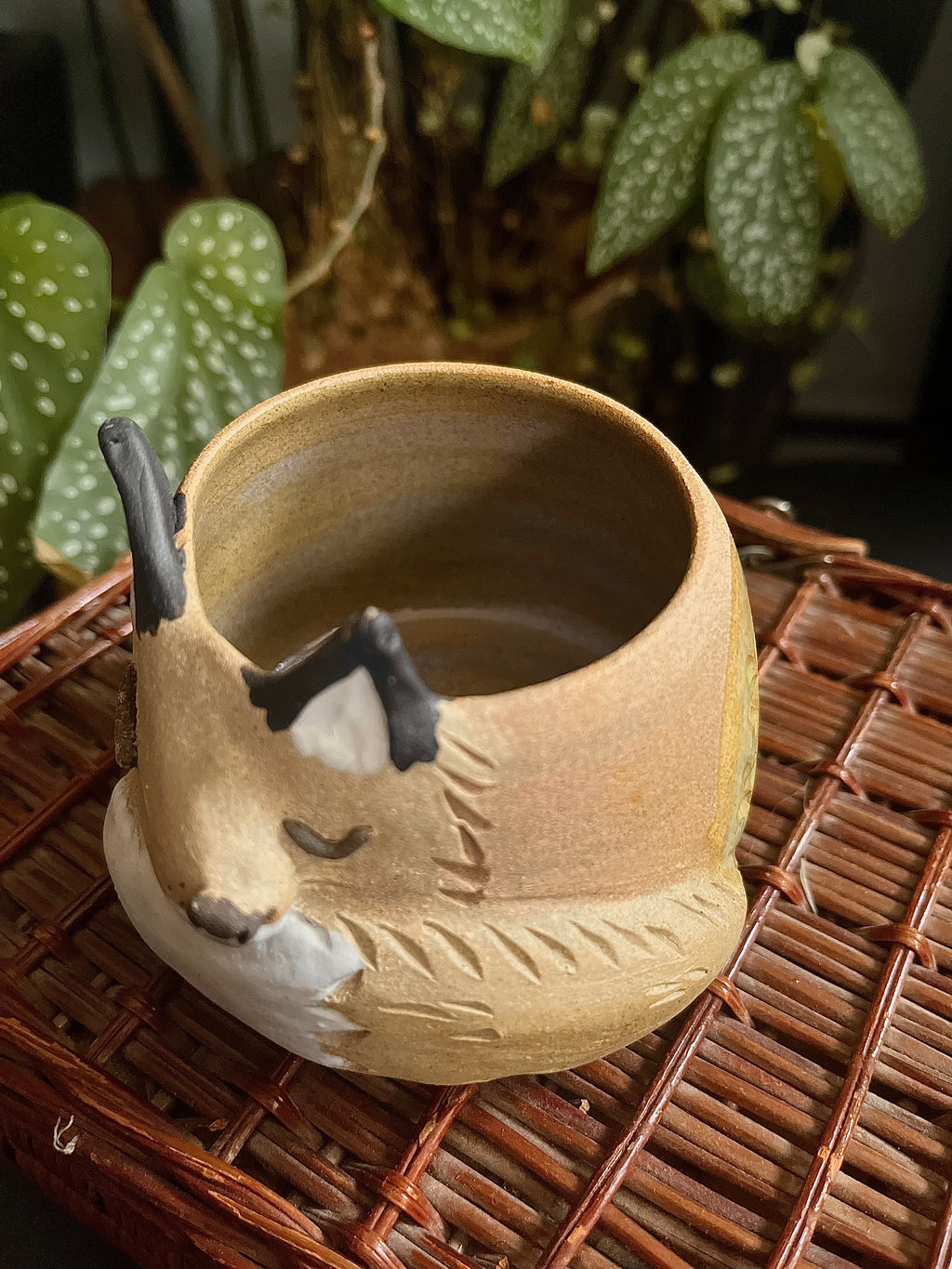 Tasses renard endormi
