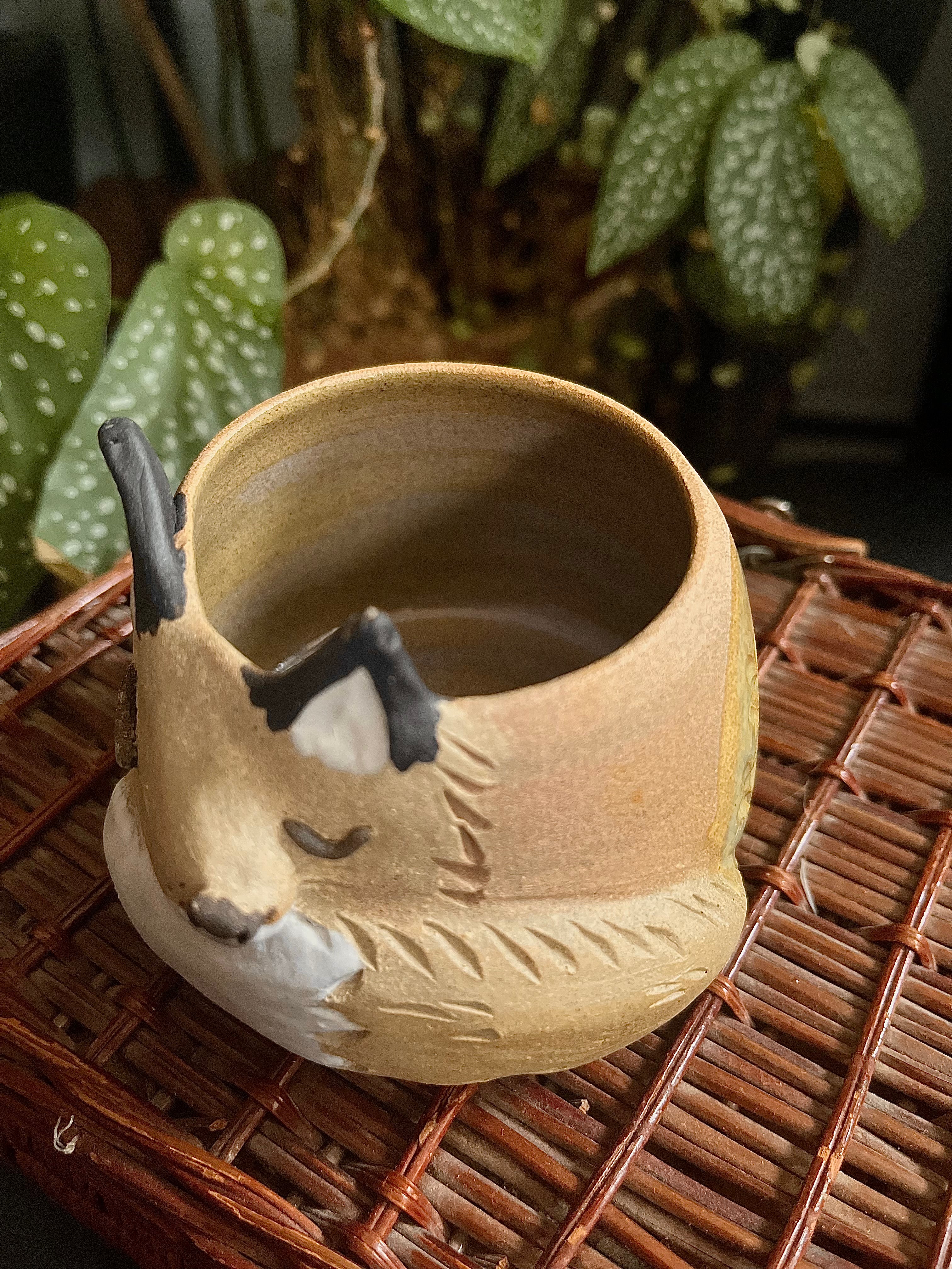 Tasses renard endormi