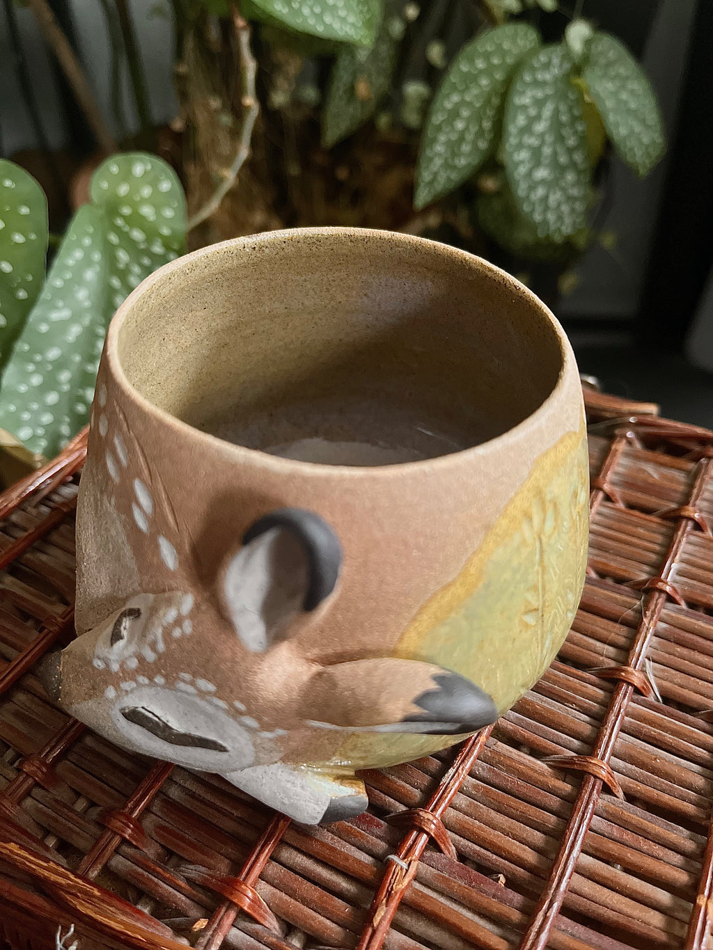 Tasses faon endormi