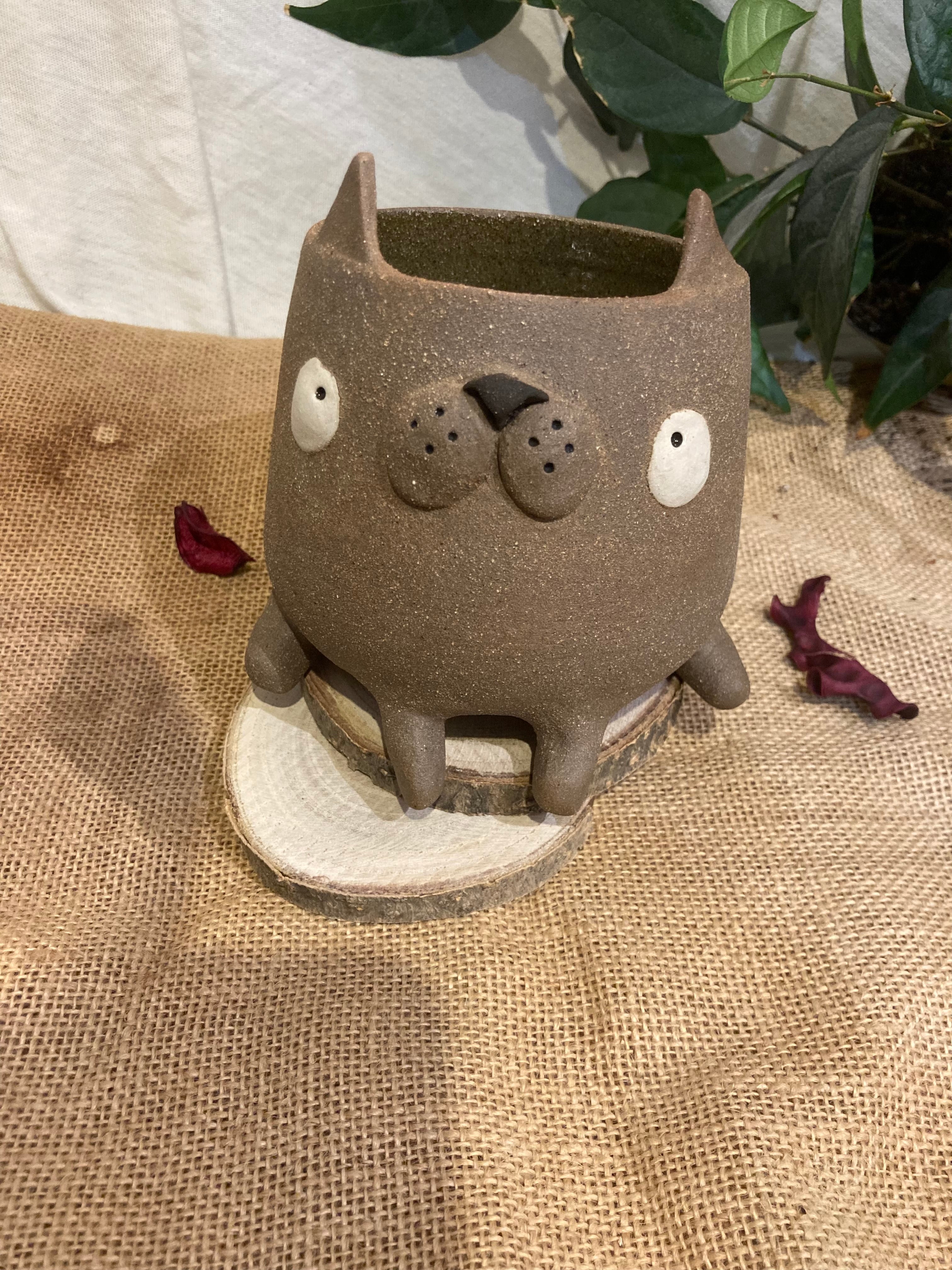 Grande tasse mimi chat marron 🐱