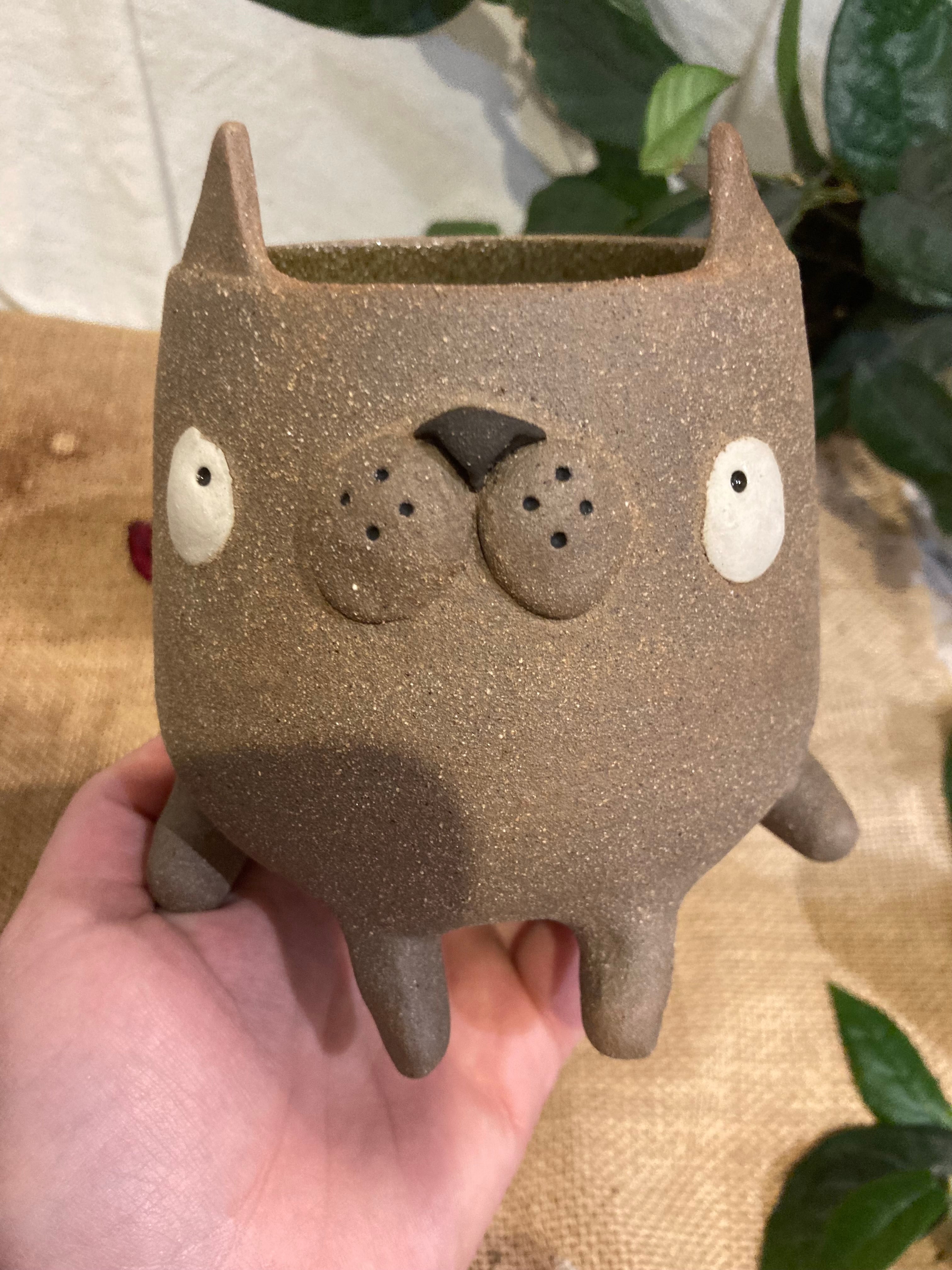 Grande tasse mimi chat marron 🐱