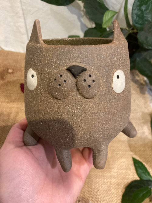 Grande tasse mimi chat marron 🐱