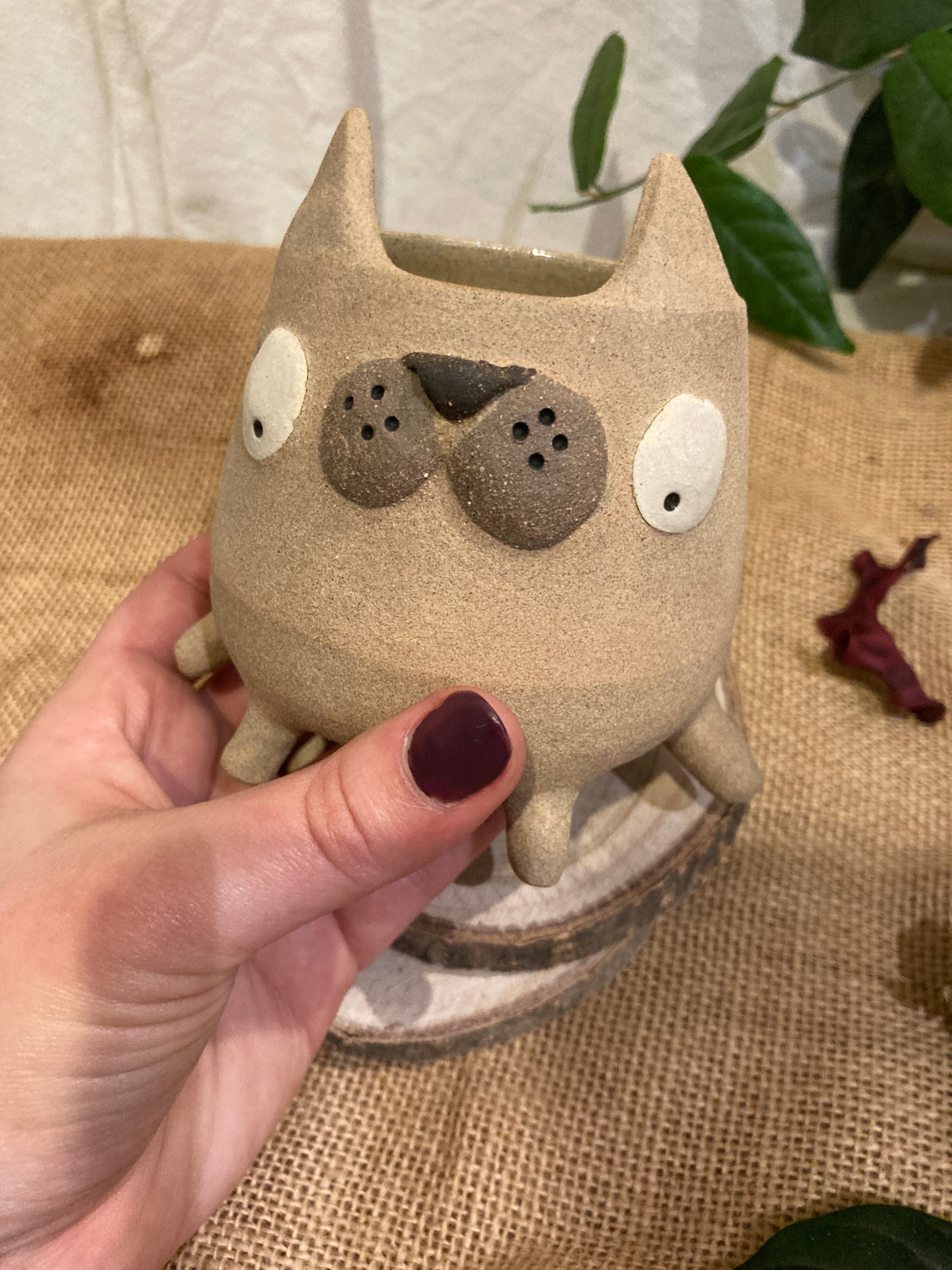 Tasse mimi chat bicolore 🐱