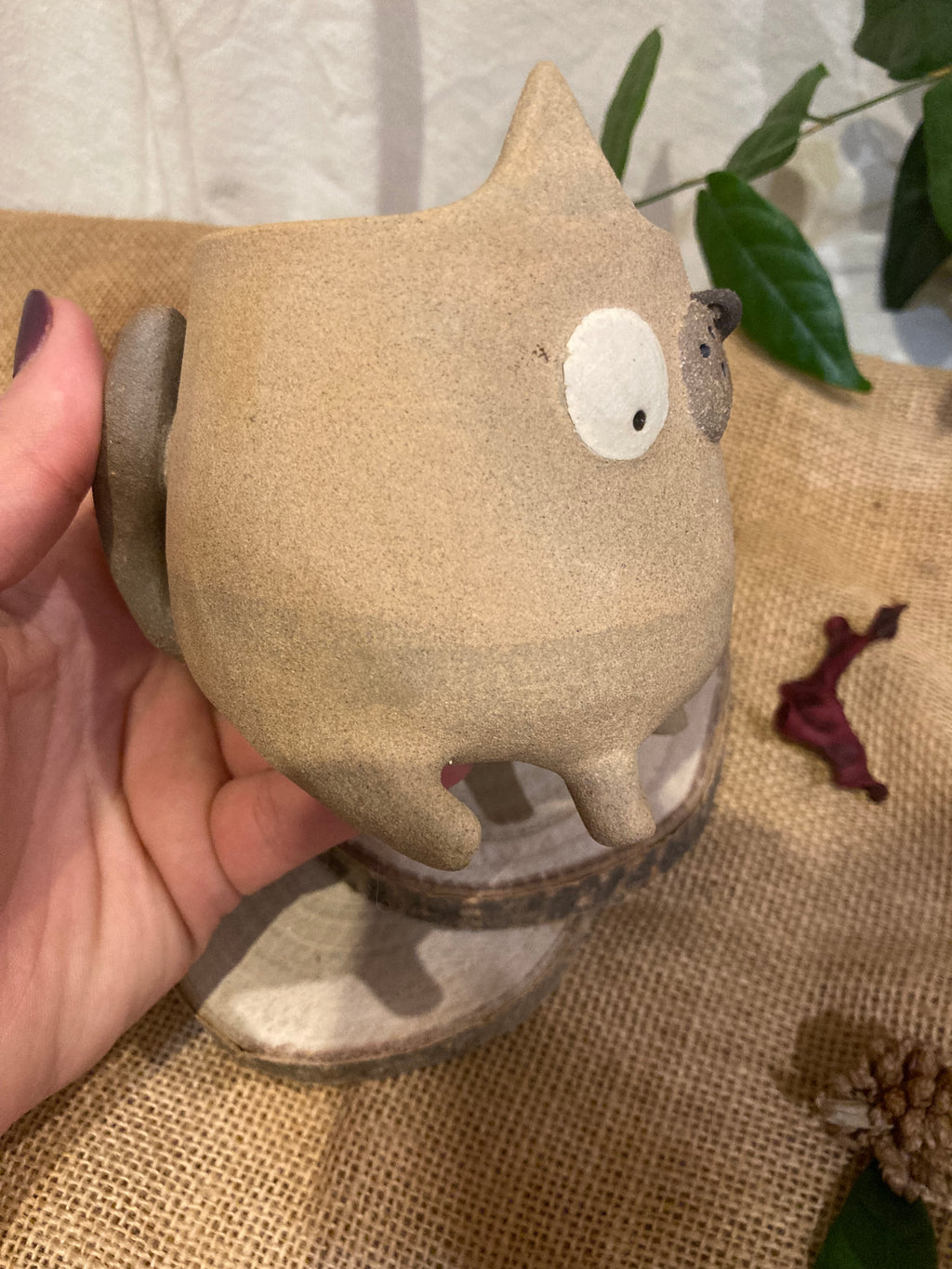 Tasse mimi chat bicolore 🐱