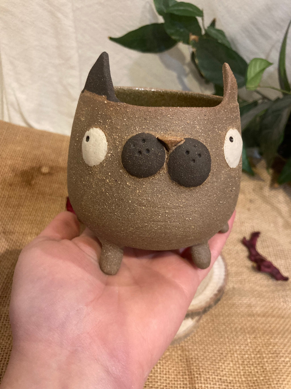 Tasse mimi chat bicolore noir et marron 🐱