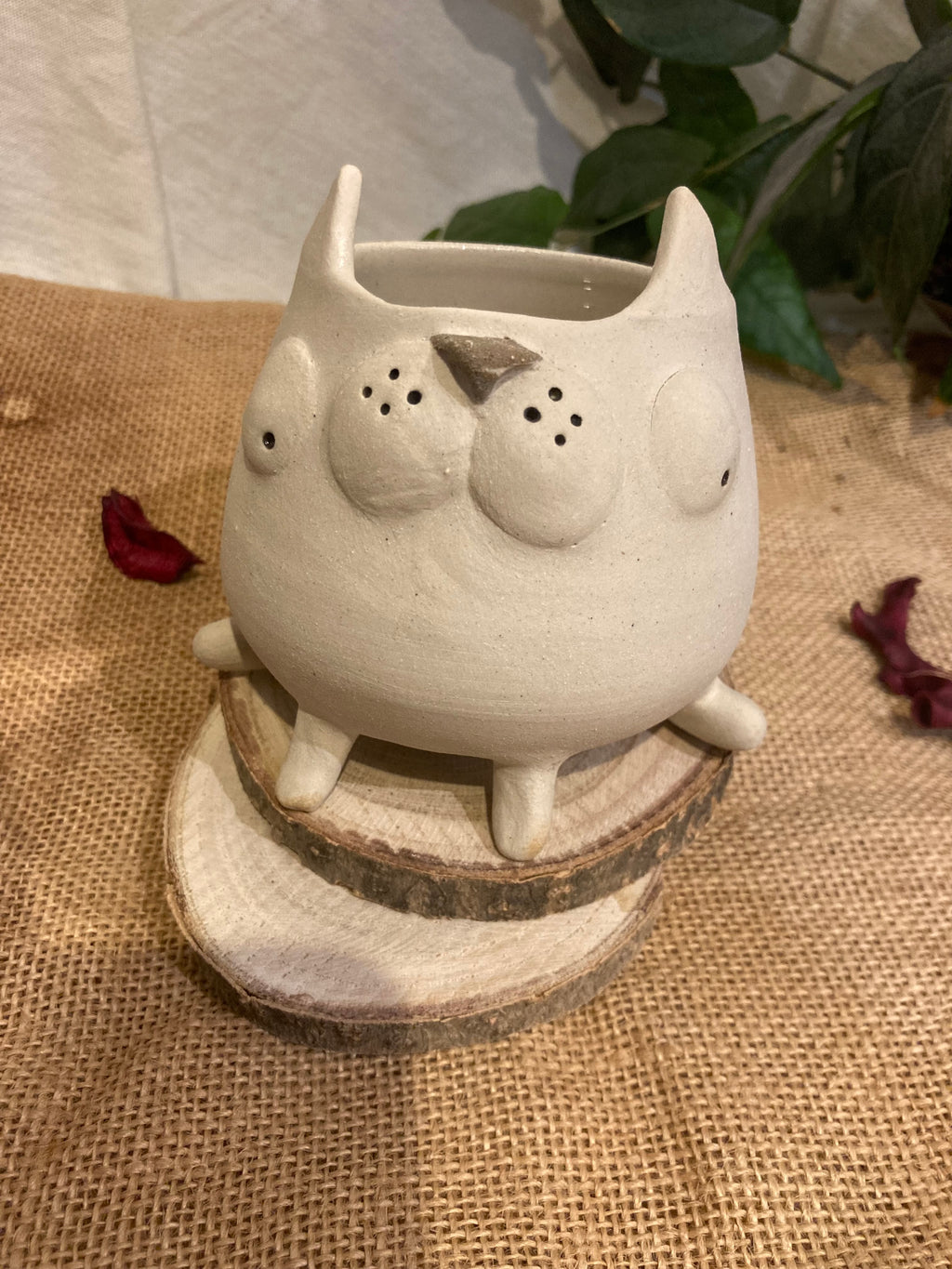 Tasse mimi chat blanc 🐱