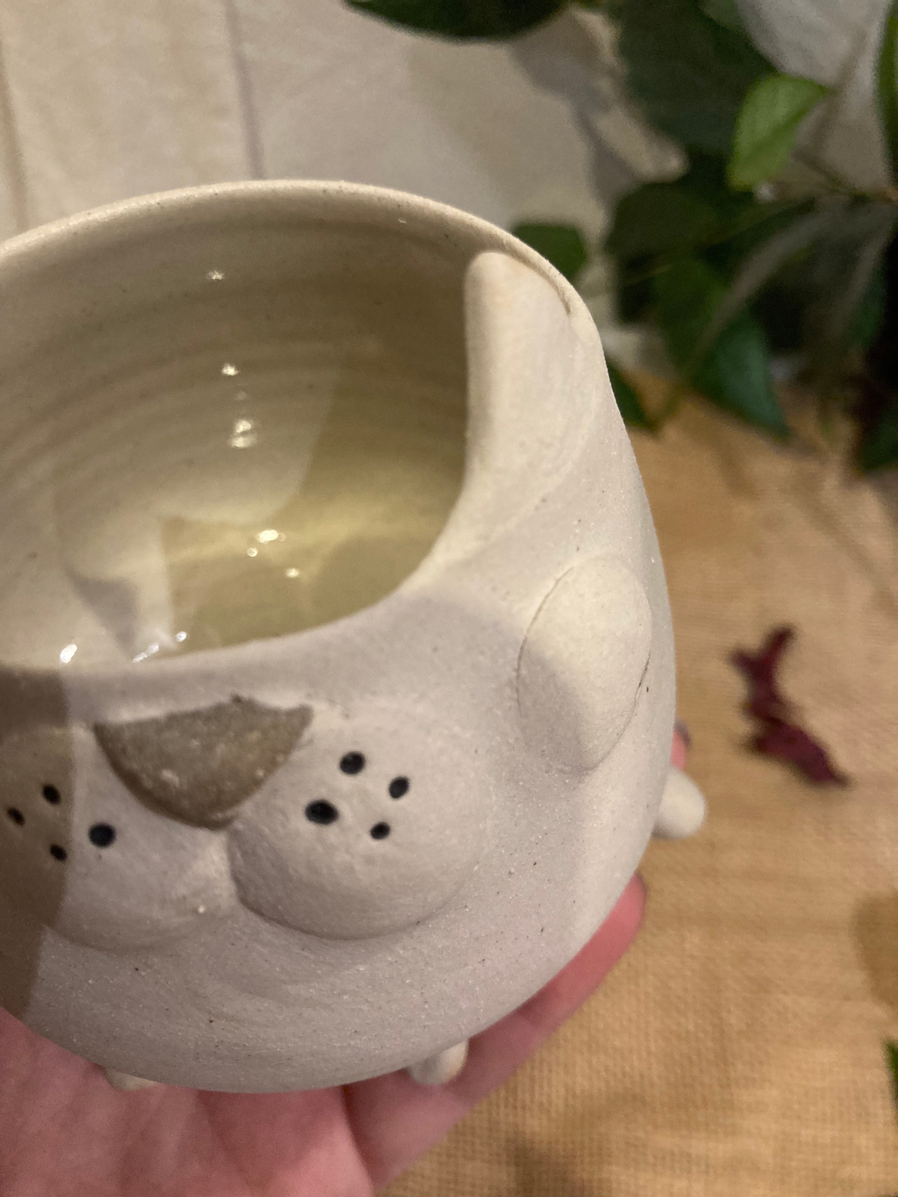 Tasse mimi chat blanc 🐱