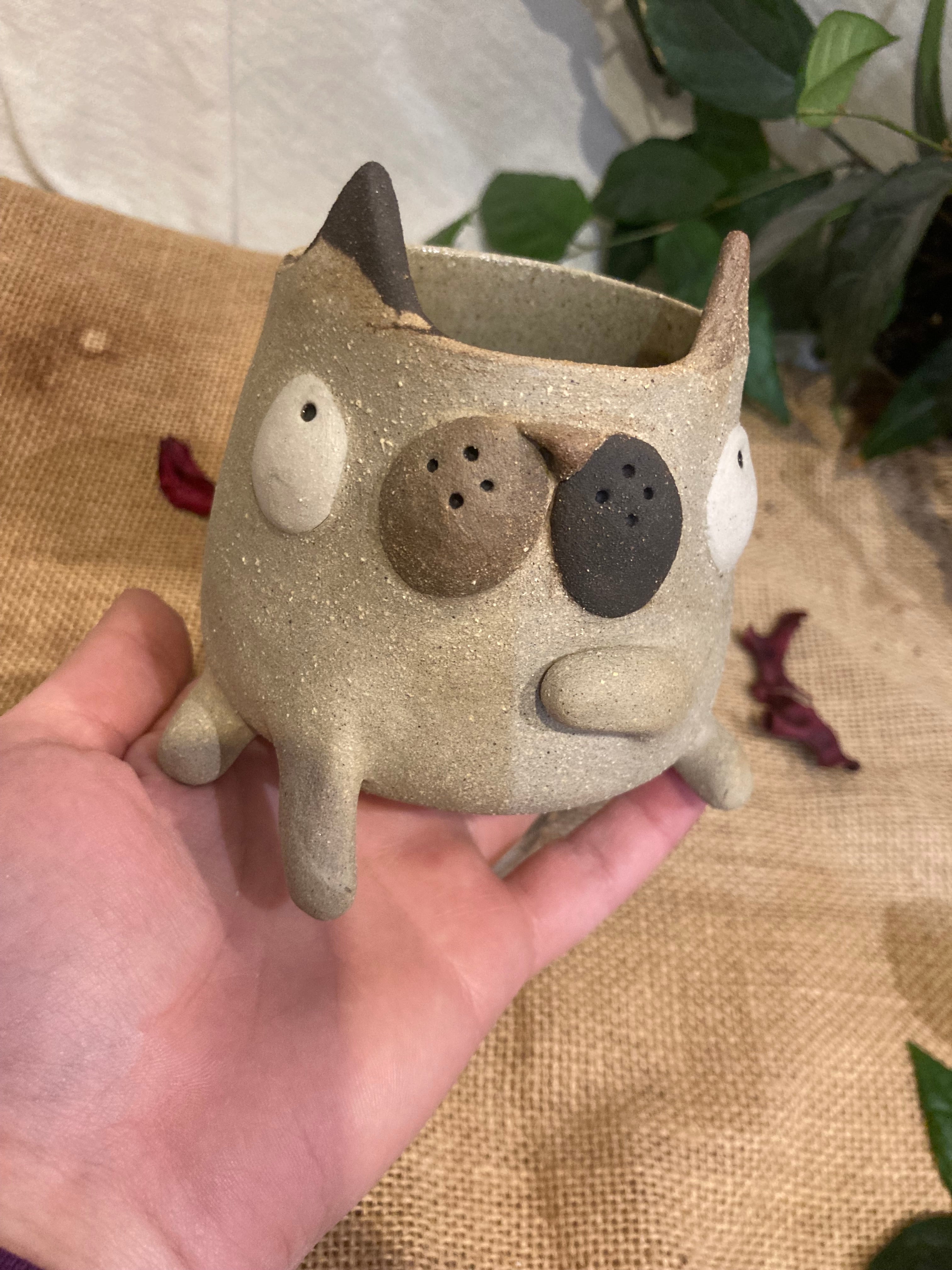 Tasse mimi chat tricolore 🐱