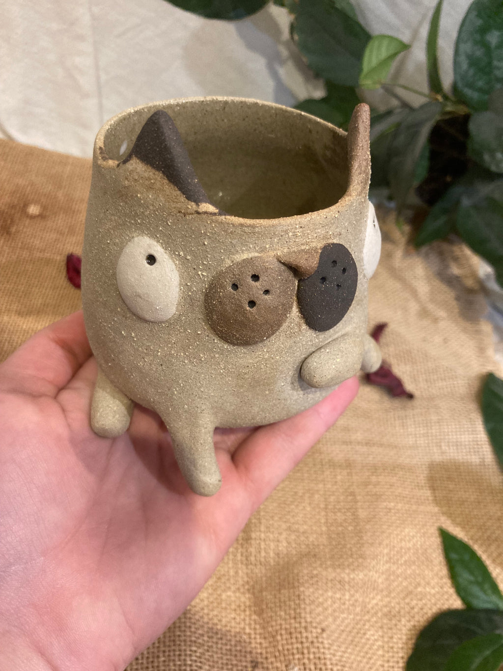 Tasse mimi chat tricolore 🐱