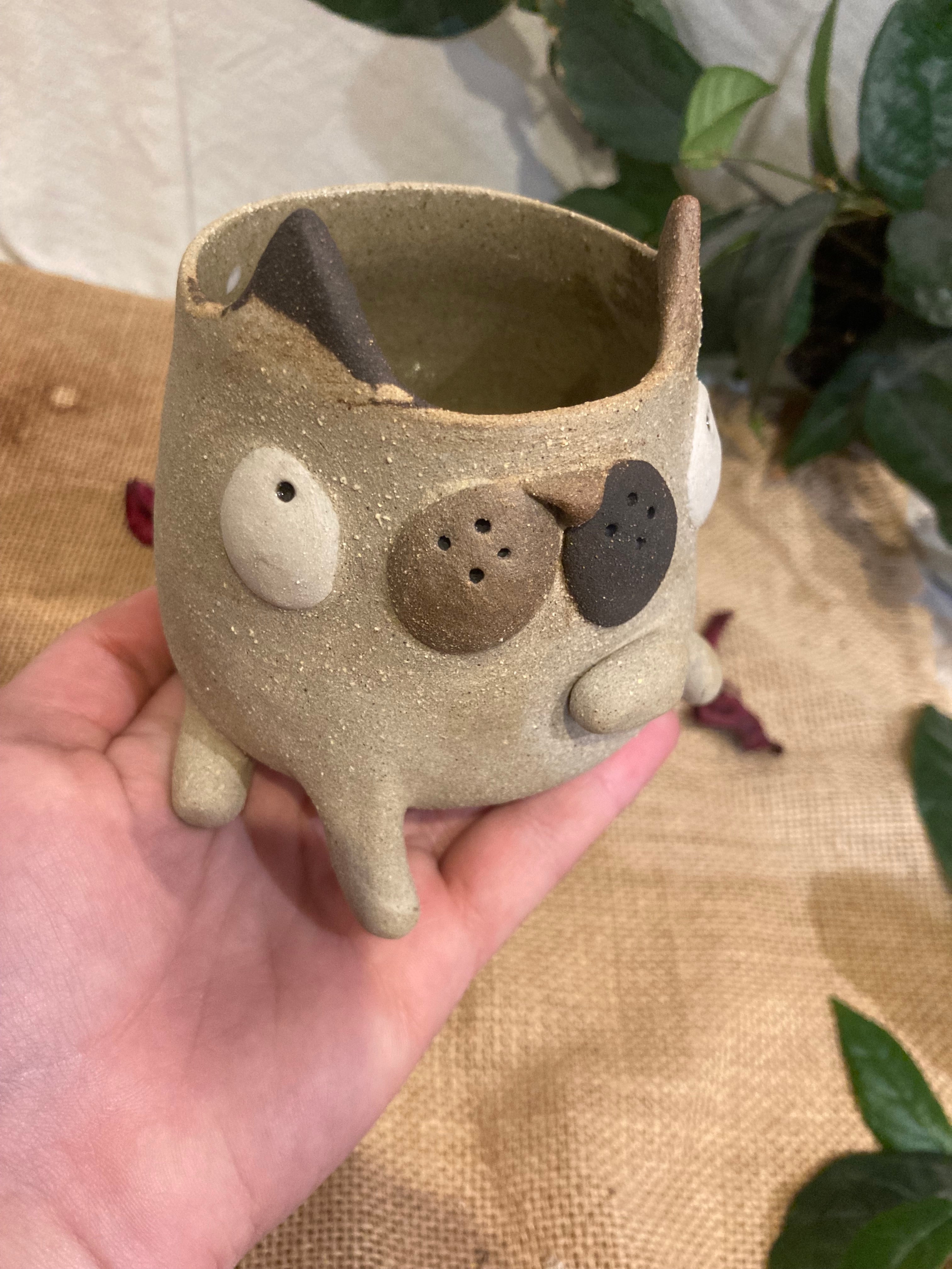Tasse mimi chat tricolore 🐱