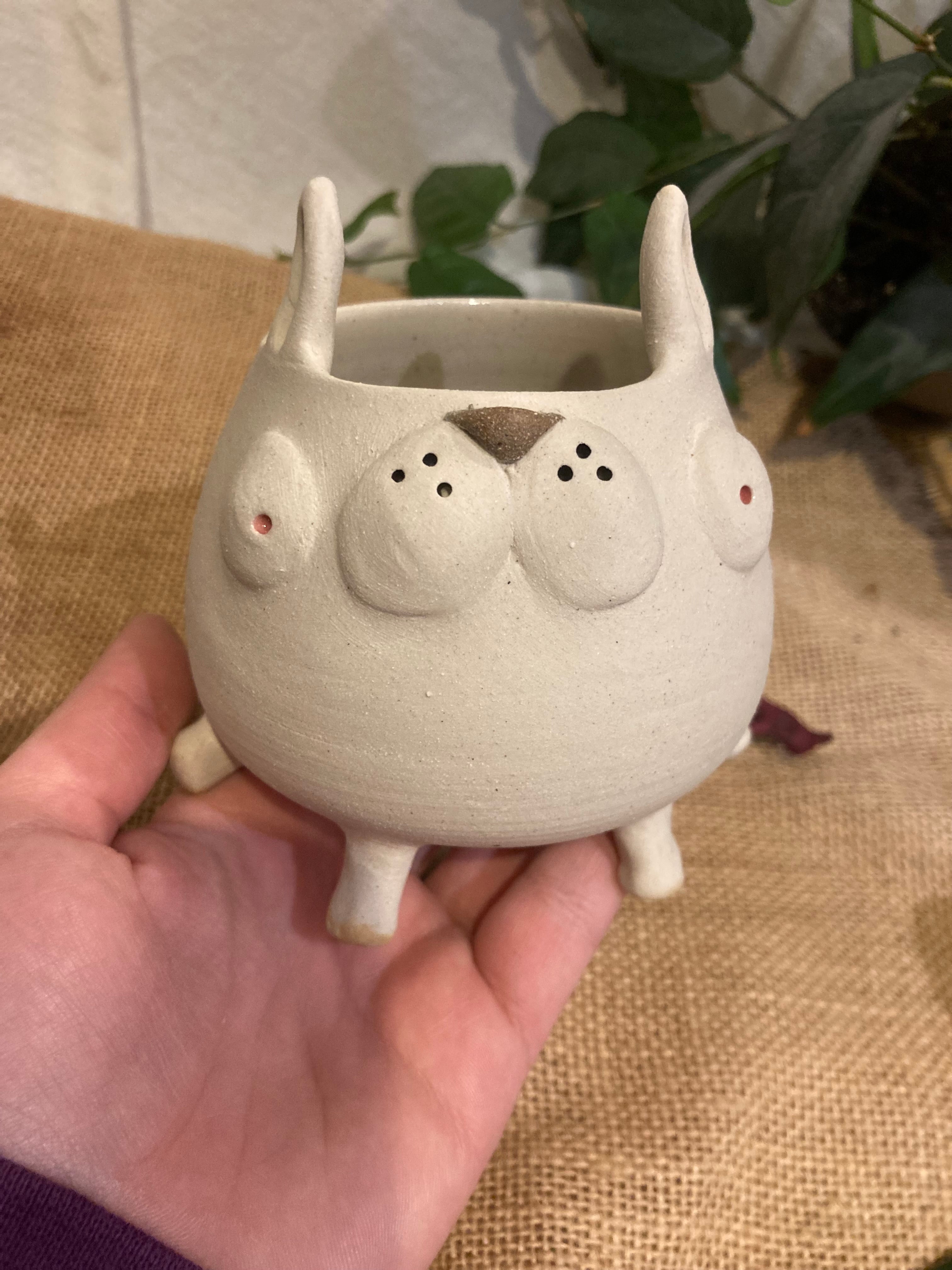 Tasse mimi lapin albinos 2 🐰