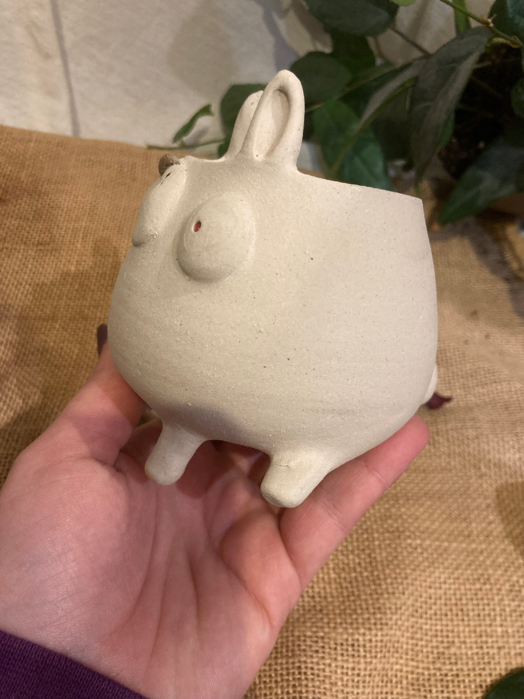 Tasse mimi lapin albinos 2 🐰
