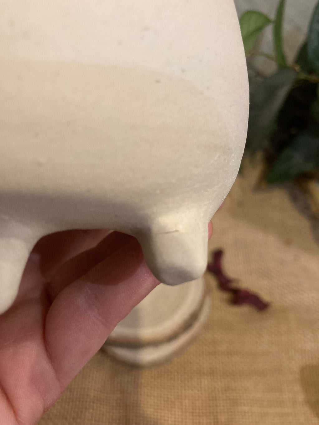 Tasse mimi lapin albinos 2 🐰