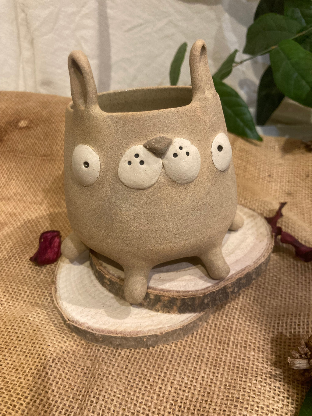 Tasse mimi lapin bicolore 🐰