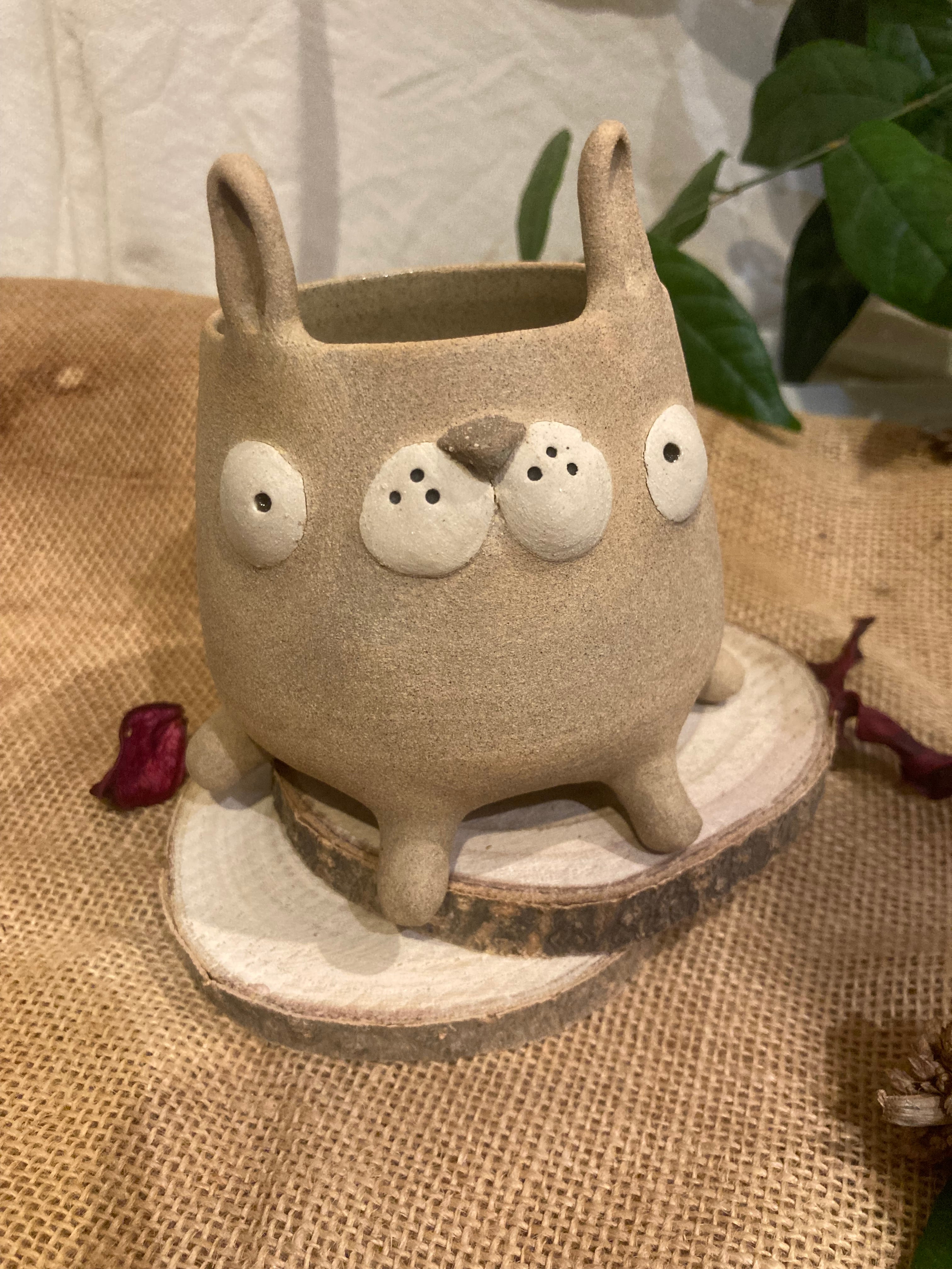 Tasse mimi lapin bicolore 🐰