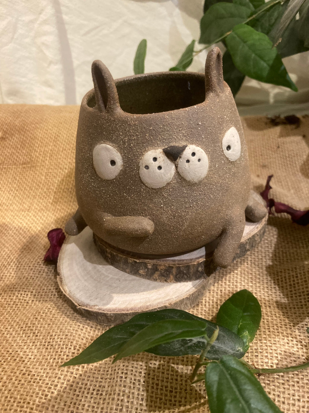 Tasse mimi lapin bicolore 🐰