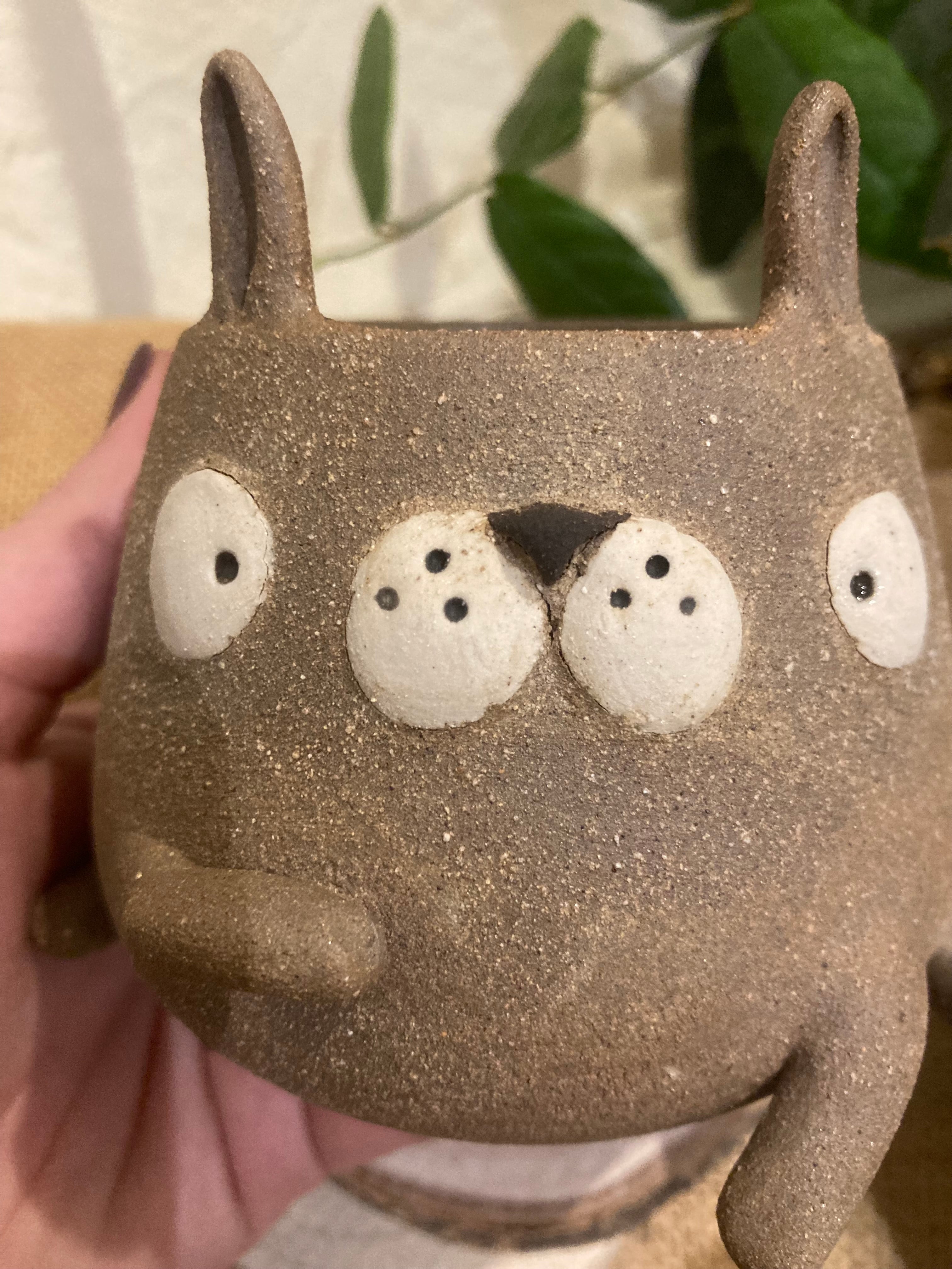 Tasse mimi lapin bicolore 🐰