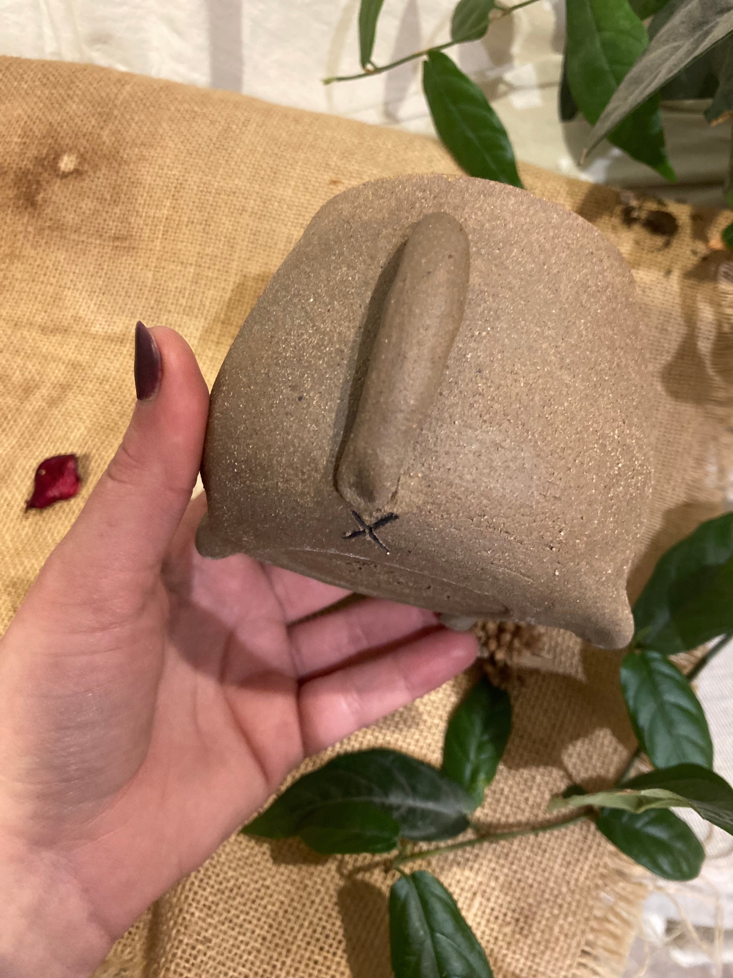 Tasse mimi chat bicolore marron et blanc 🐱