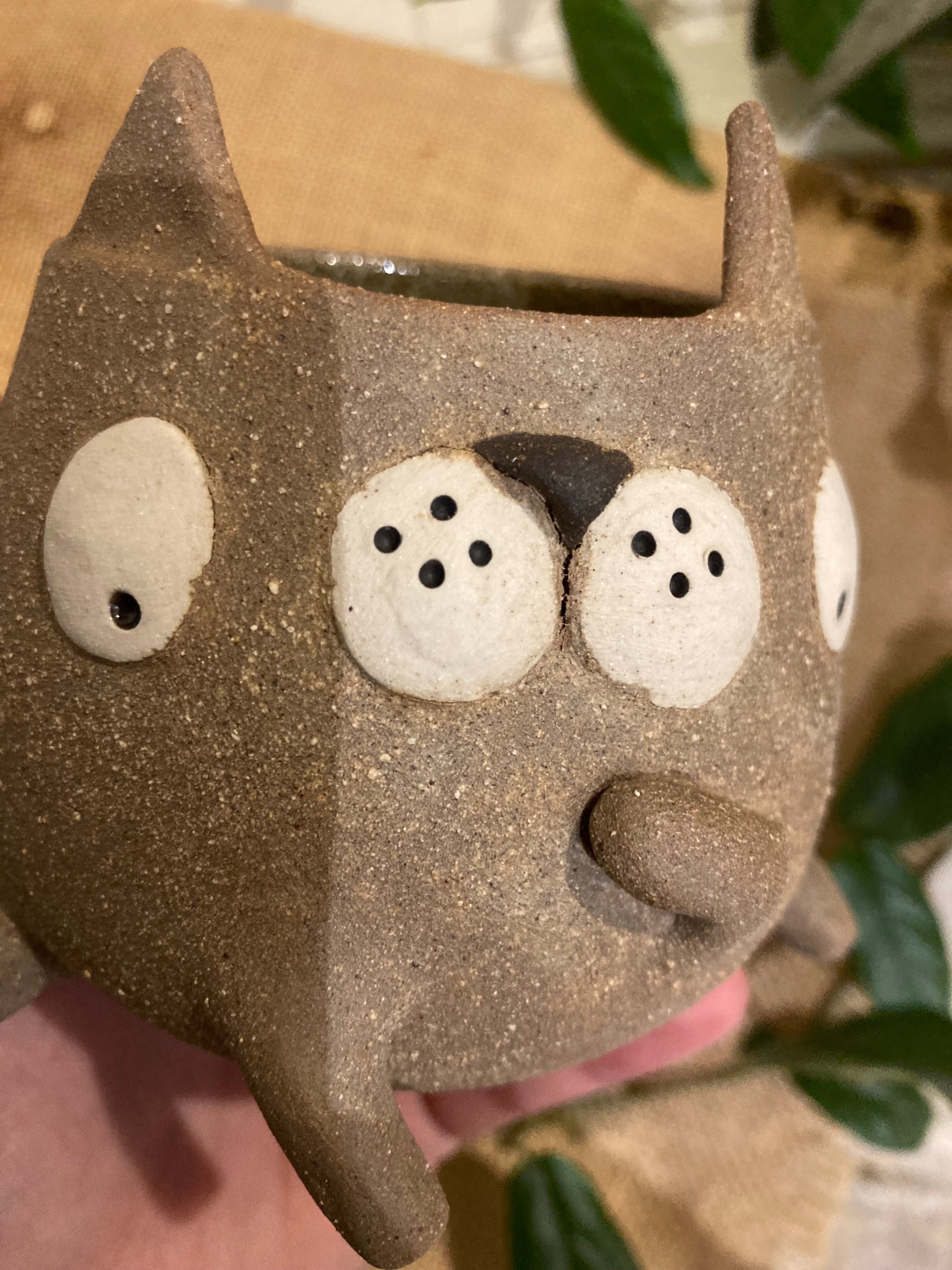 Tasse mimi chat bicolore marron et blanc 🐱
