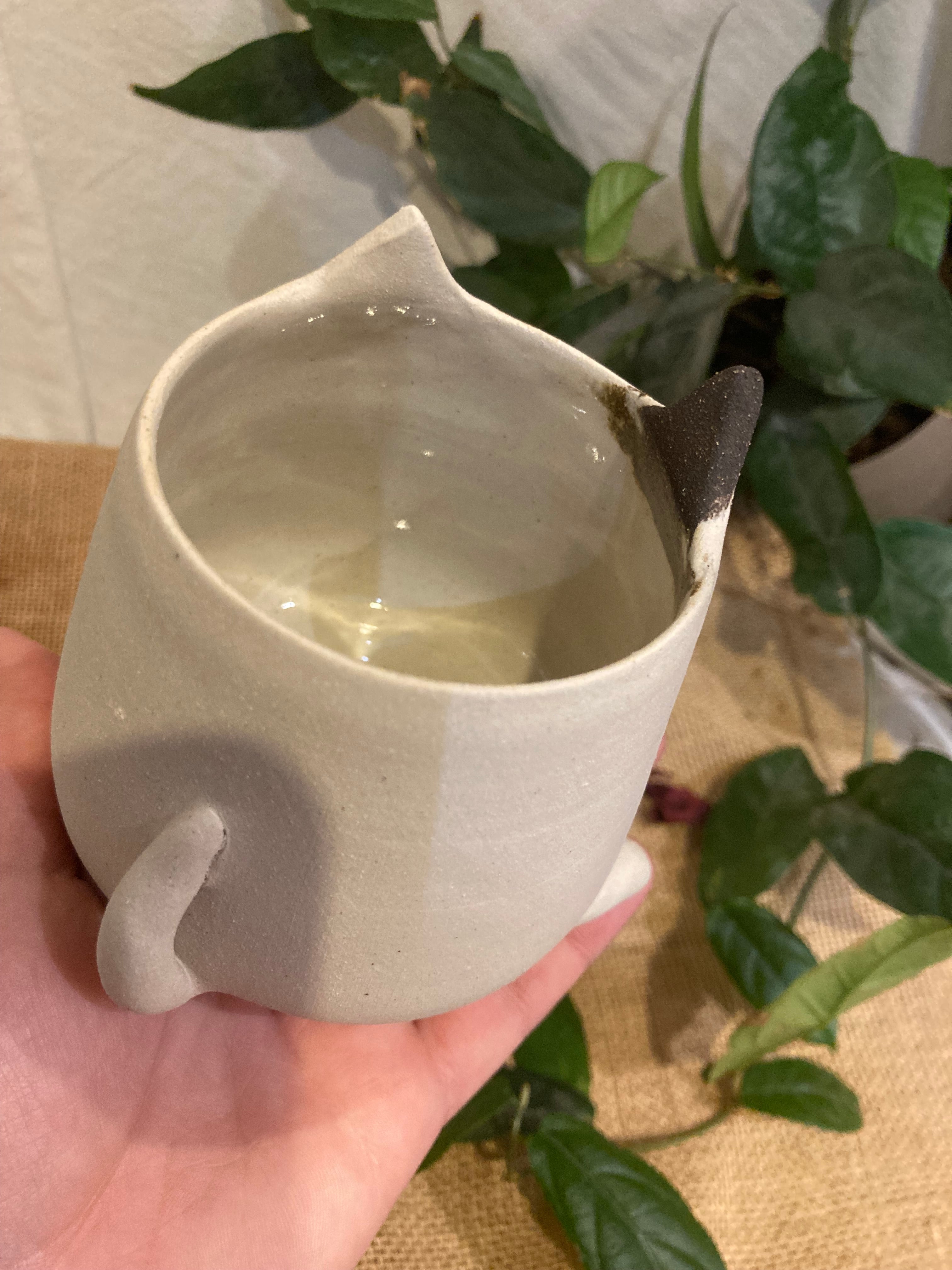 Tasse mimi chat noir et blanc 🐱