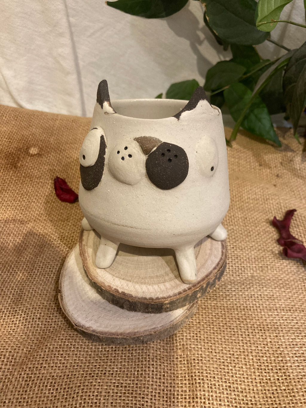 Tasse mimi chat bicolore noir et blanc 🐱