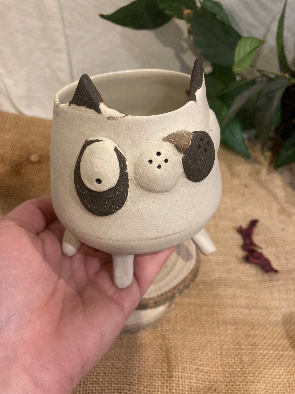 Tasse mimi chat bicolore noir et blanc 🐱